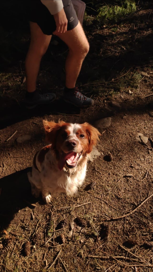 Shiryu on his hike