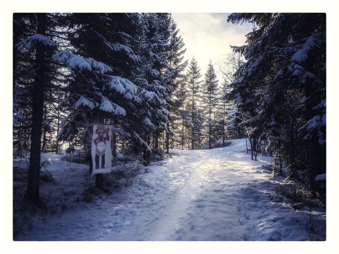 Short hike with beautiful snow Pixel 3XL and Snapseed