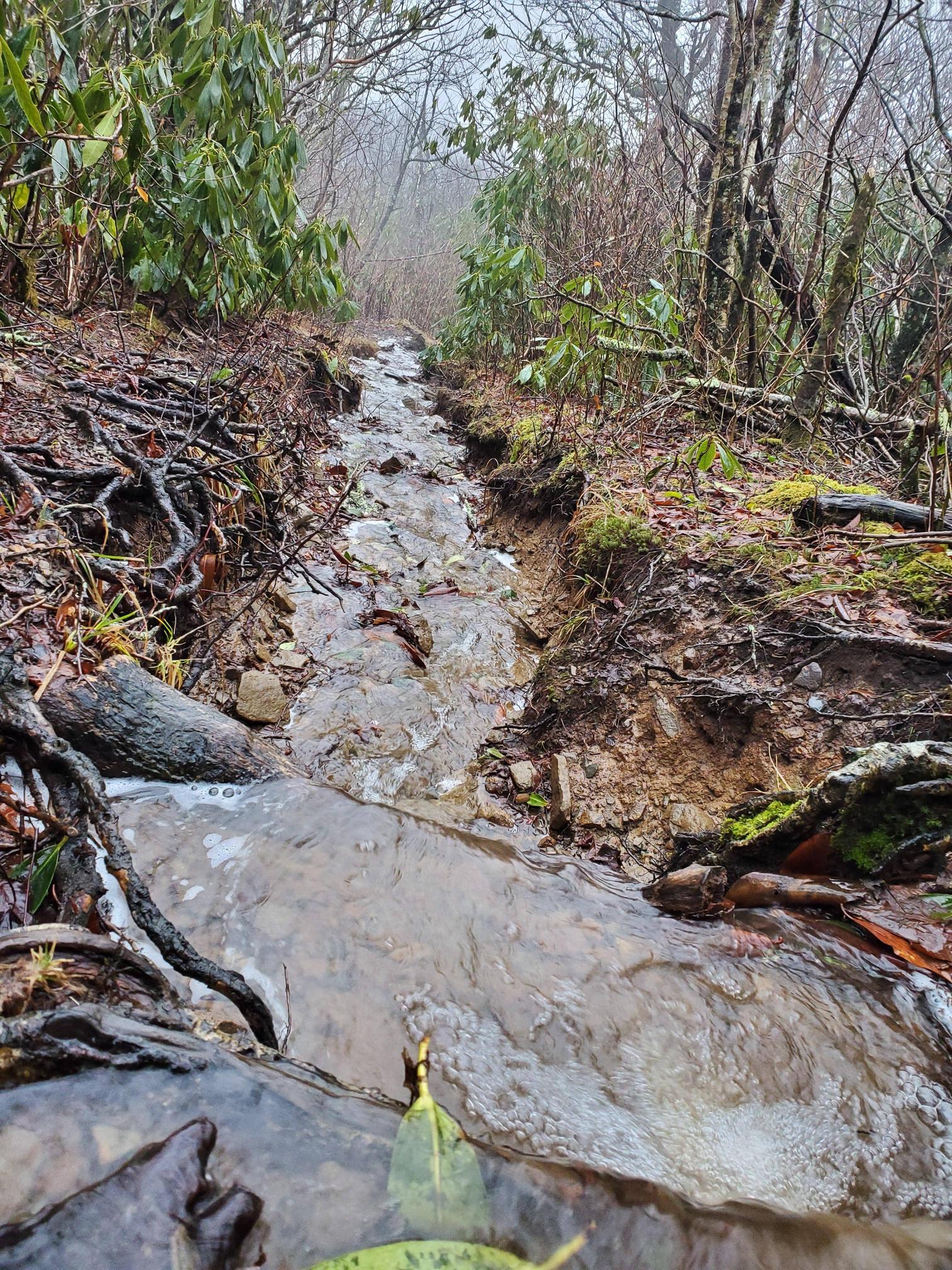 Wet Hiking in the Smokies – NOBO