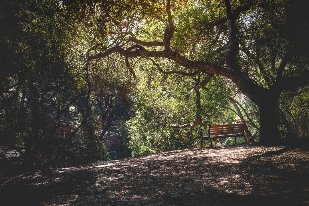 Went for a hike today. Anaheim, CA