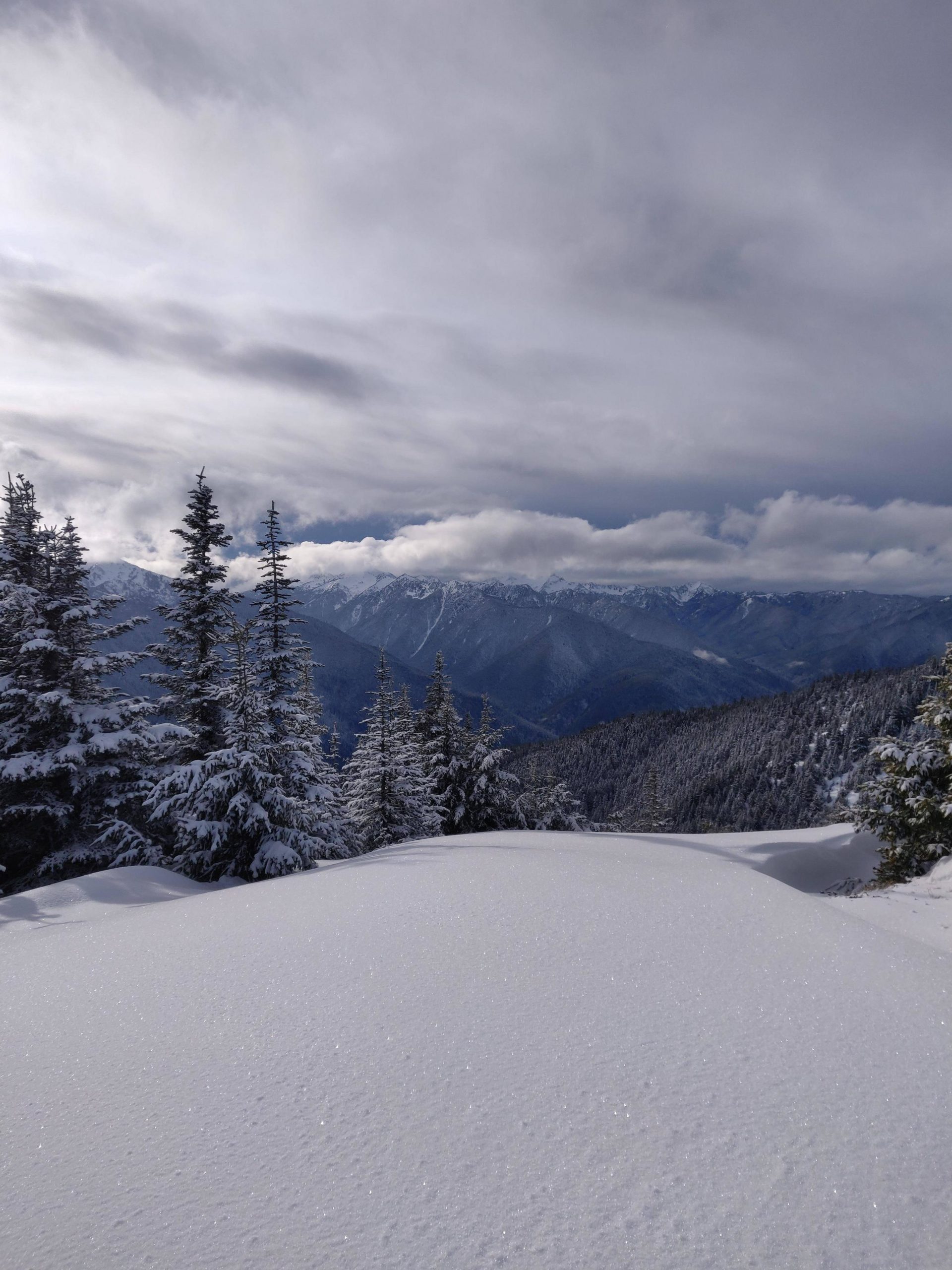 Jaw-dropping landscape. Hurricane Hill, Port Angeles, WA, USA.