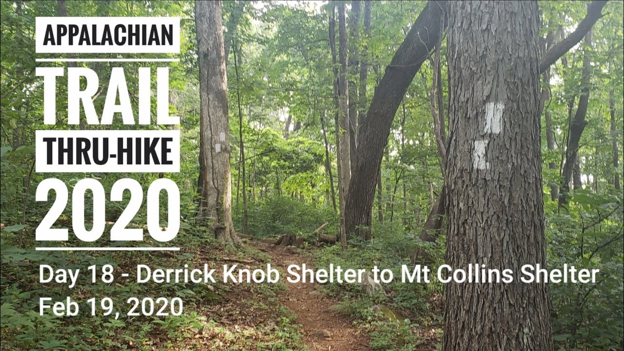 2020 Appalachian Trail Thru-hike Day 18 – Derrick Knob Shelter to Mt Collins Shelter