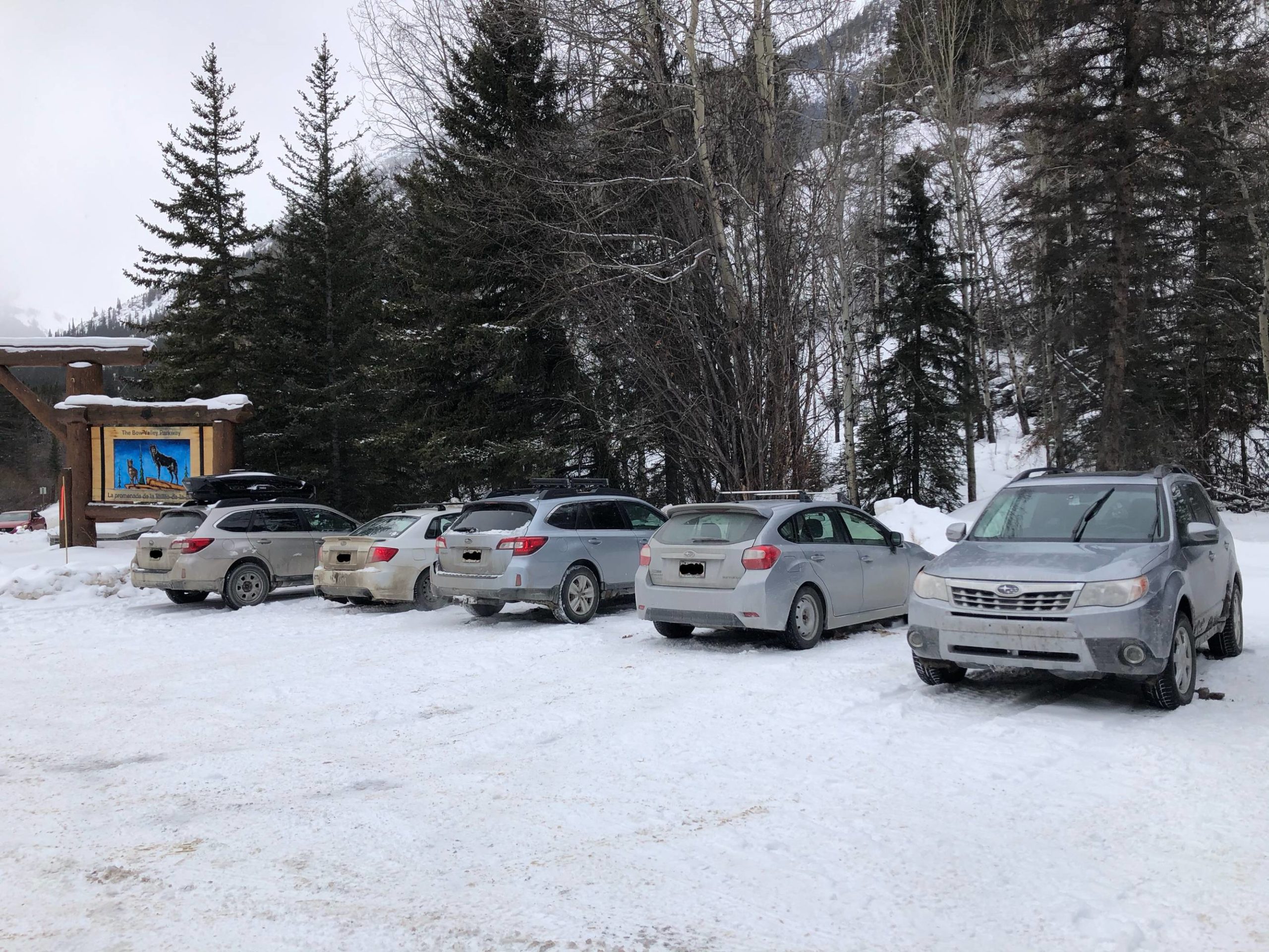 I just spent the weekend ice climbing near Banff, Alberta. When I hiked off the mountain today, this is what the parking lot looked like.