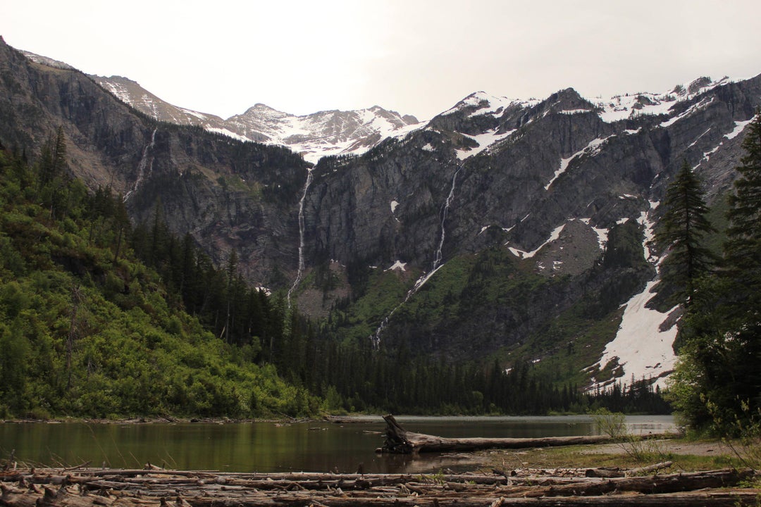 Avalanche Lake, a 3 miles hike from the main road in Glacier National Park OC 5184×3456