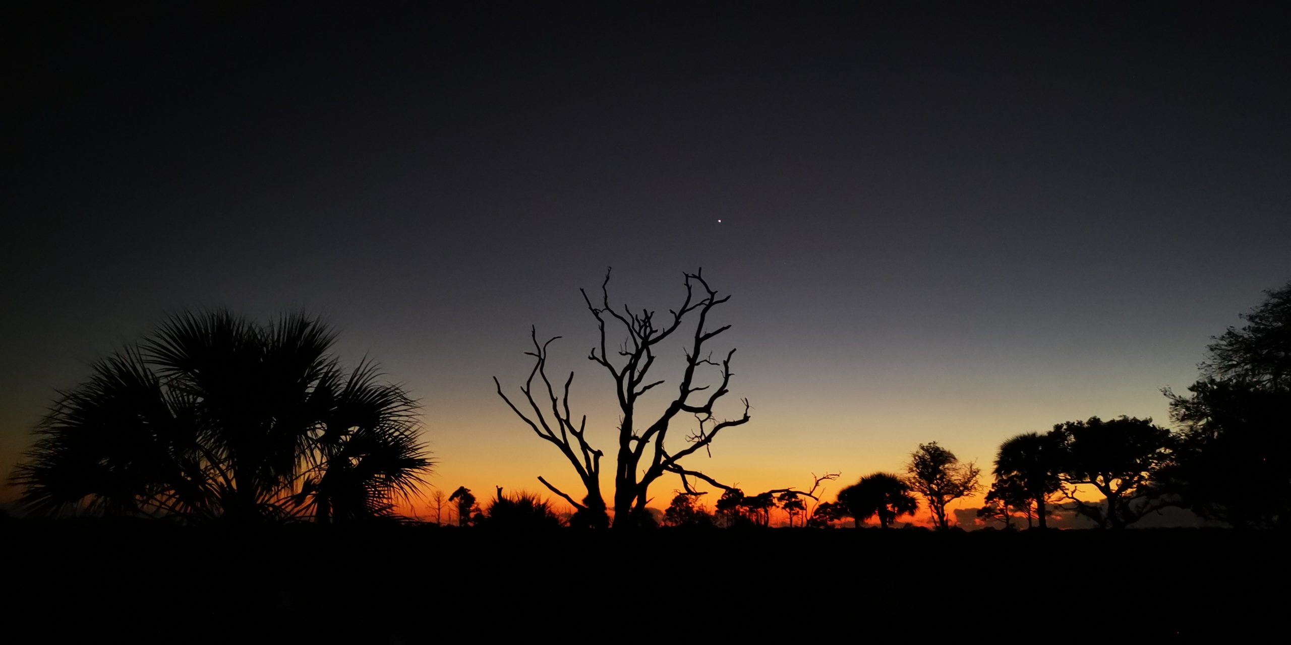 Twilight hike at Myakka State Park, Florida