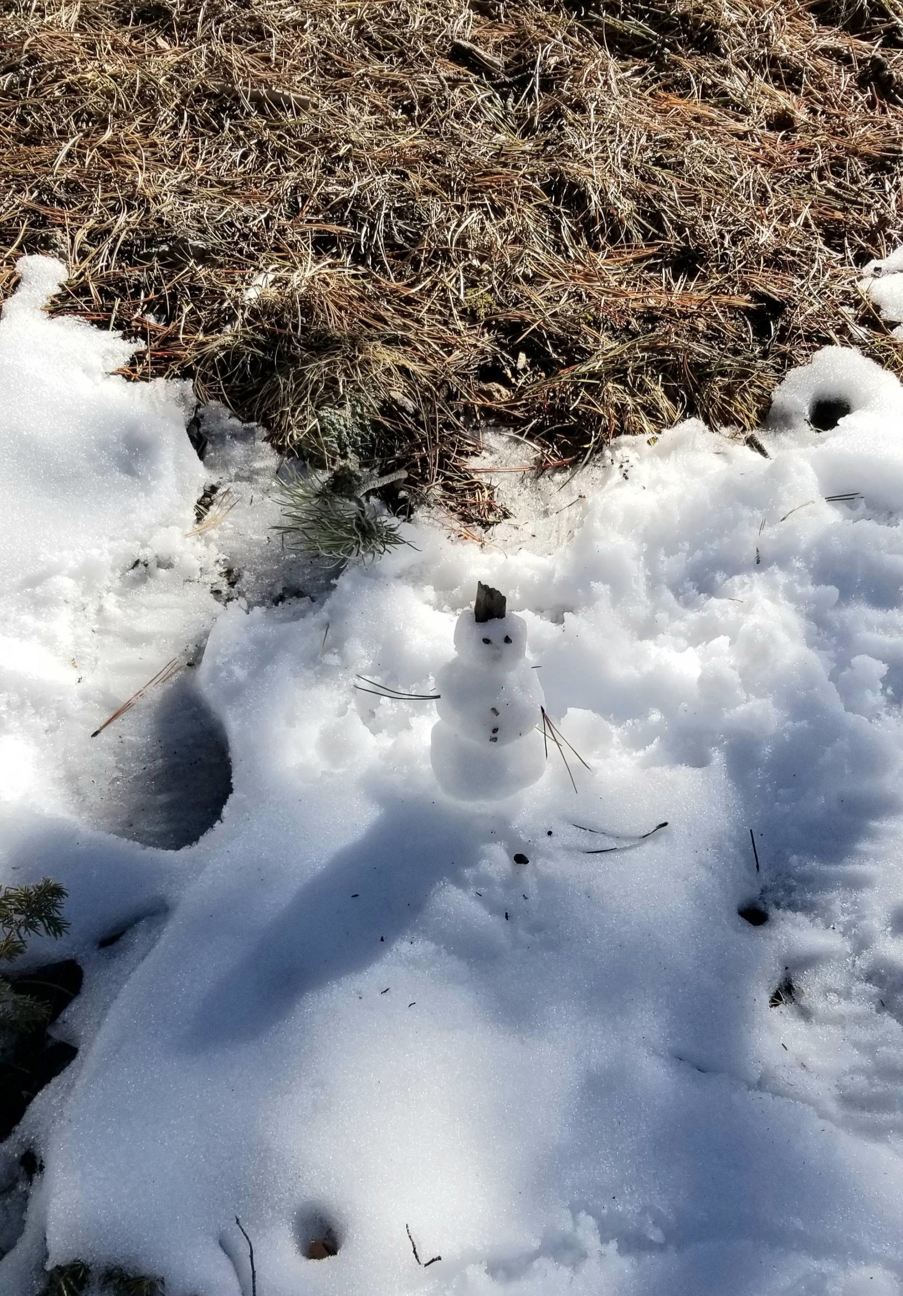 I came across a teeny tiny snowman while hiking in the mountains today