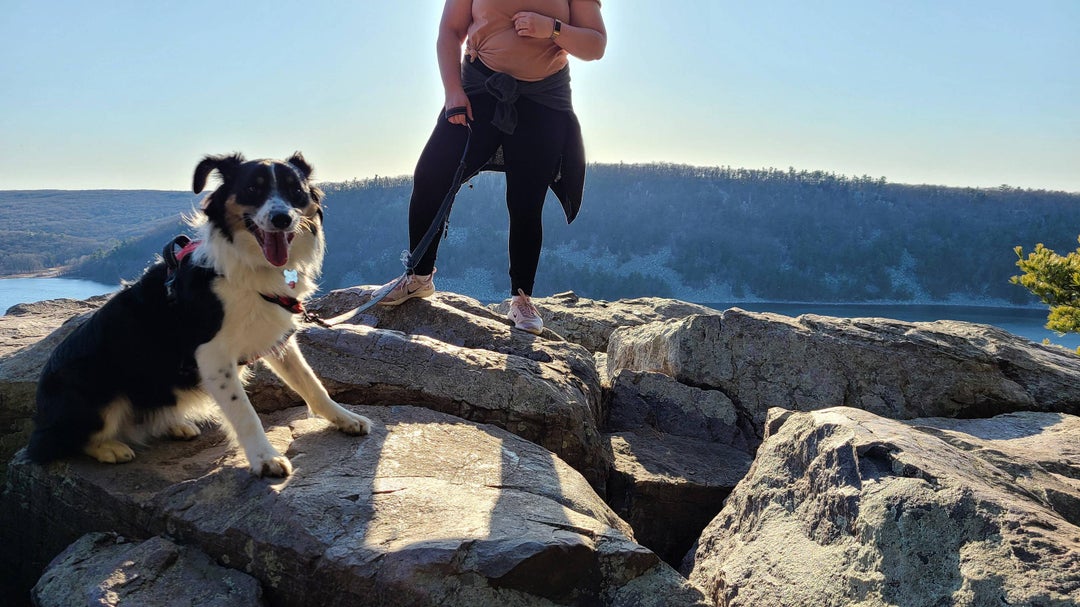 Our pup enjoying the view after a long hike