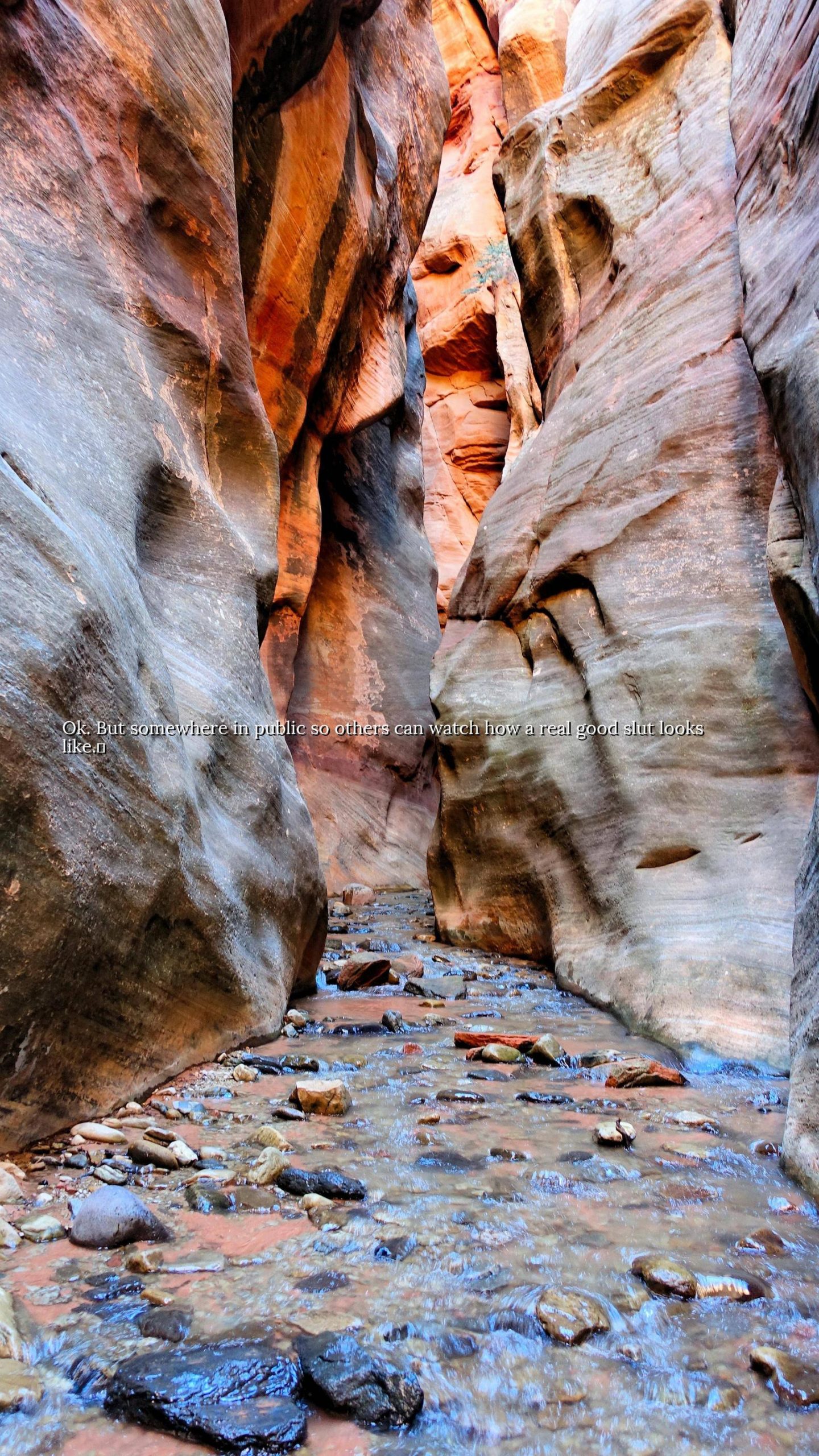 Going to get your feet wet on this hike Kanarra Creek, Southwest Utah