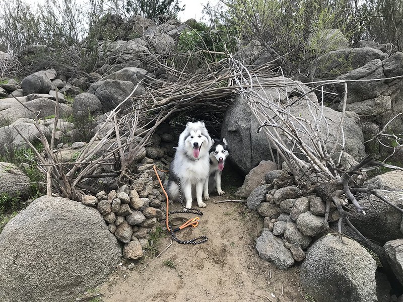 Stumbled across this shelter the other day near a hiking trail. Neat little hideaway.