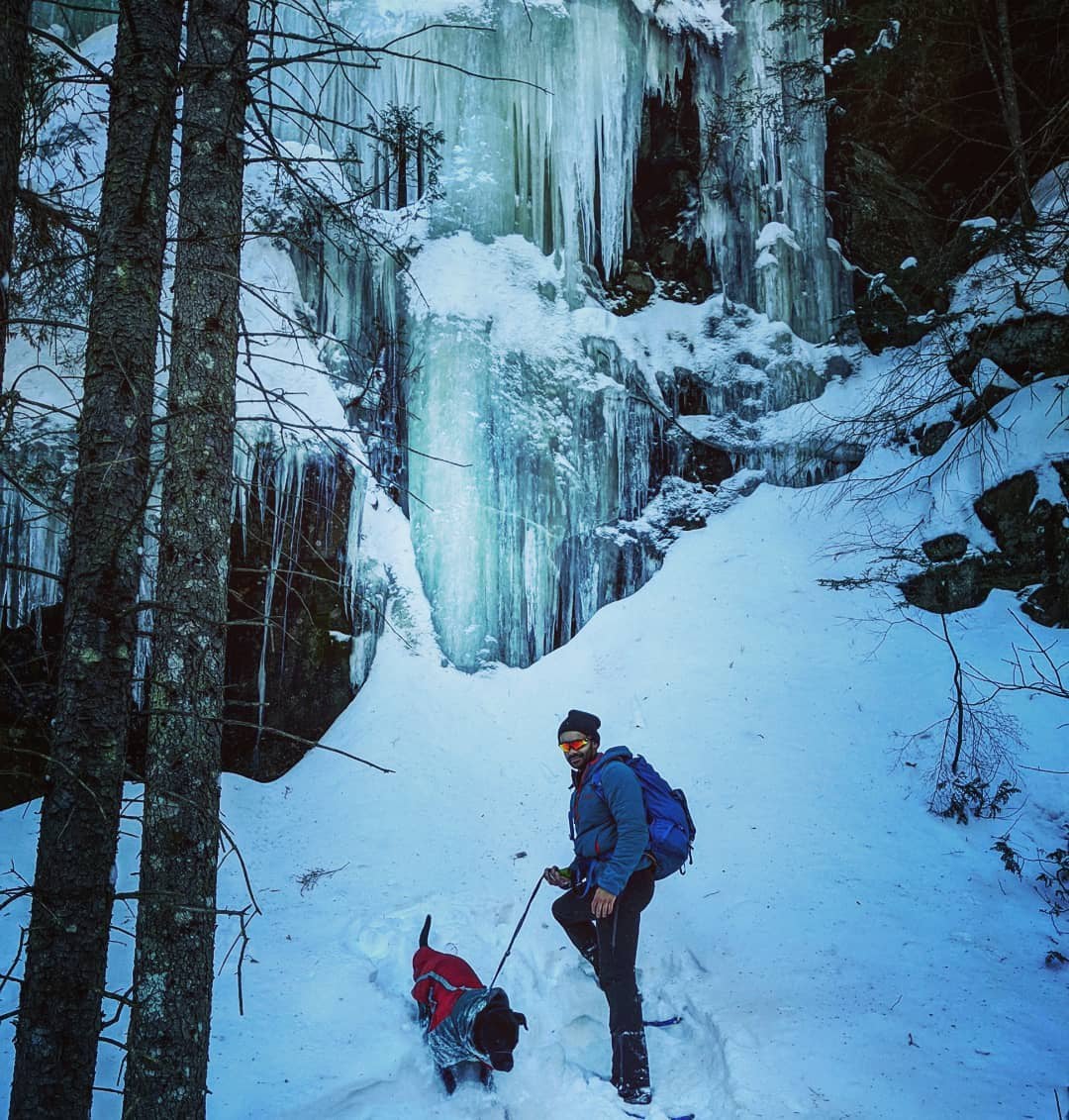 In the cathedral with the pupper. Algonquin National Park, Ontario, Canada