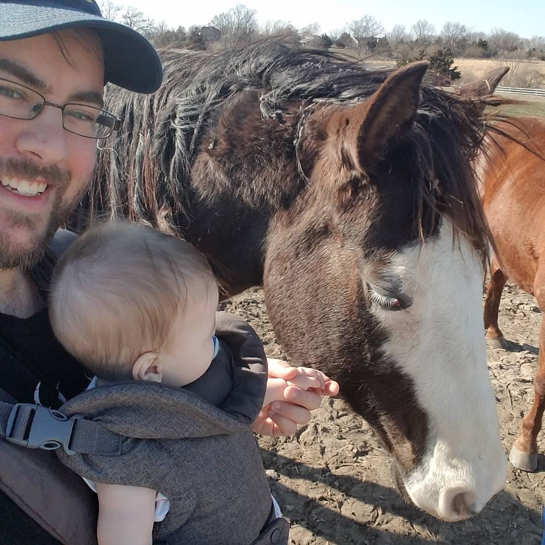 One day she will be able to ride bandit horsesofinstagram babiesofinstagram outdoors