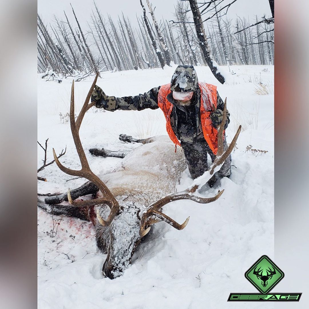 Elk hunting in the mountains of Montana can be one of the most challenging and rewarding experiences…