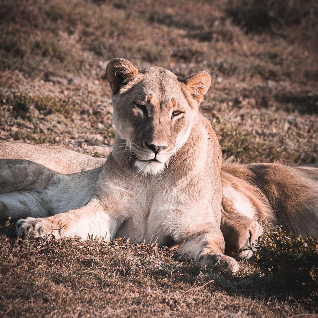 What do you think of this one I was lucky to catch these two, Jack and Jill, brother and sister in …