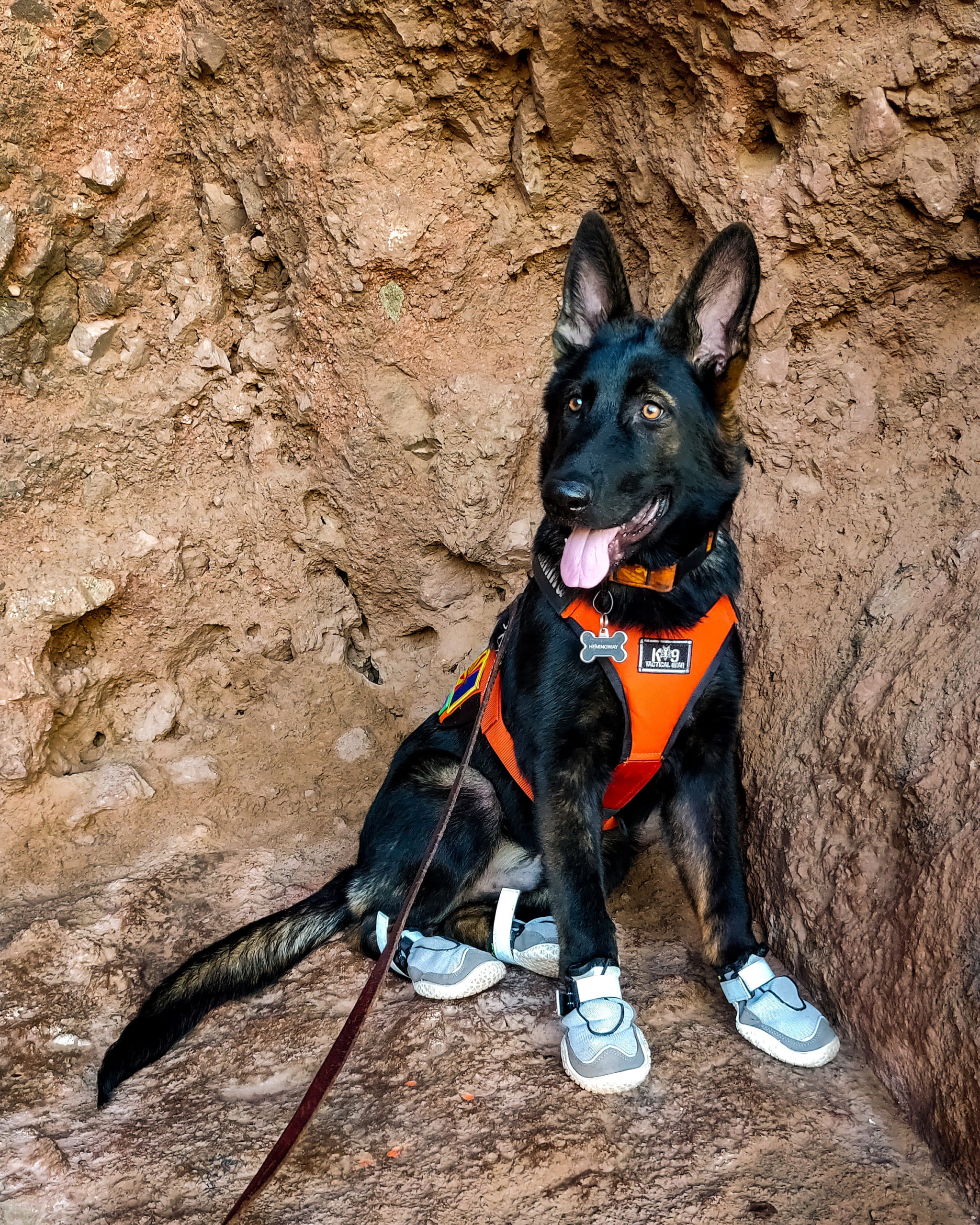 Heres a throwback of my boy on his first hike in his new shoes to brighten your day