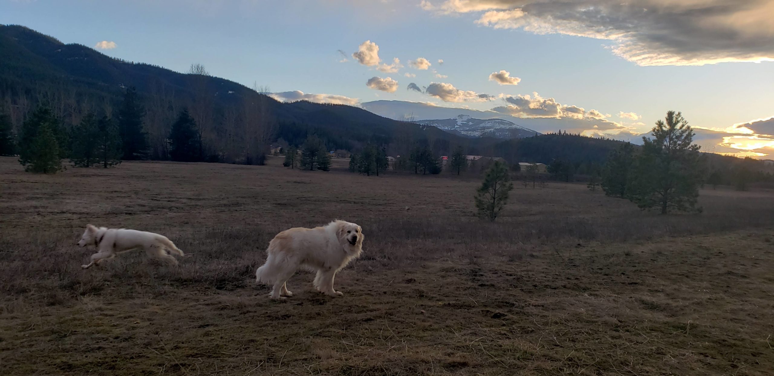 Took the kids for a hike. Unexpected shot, 6yo happy, 4month old FLYING