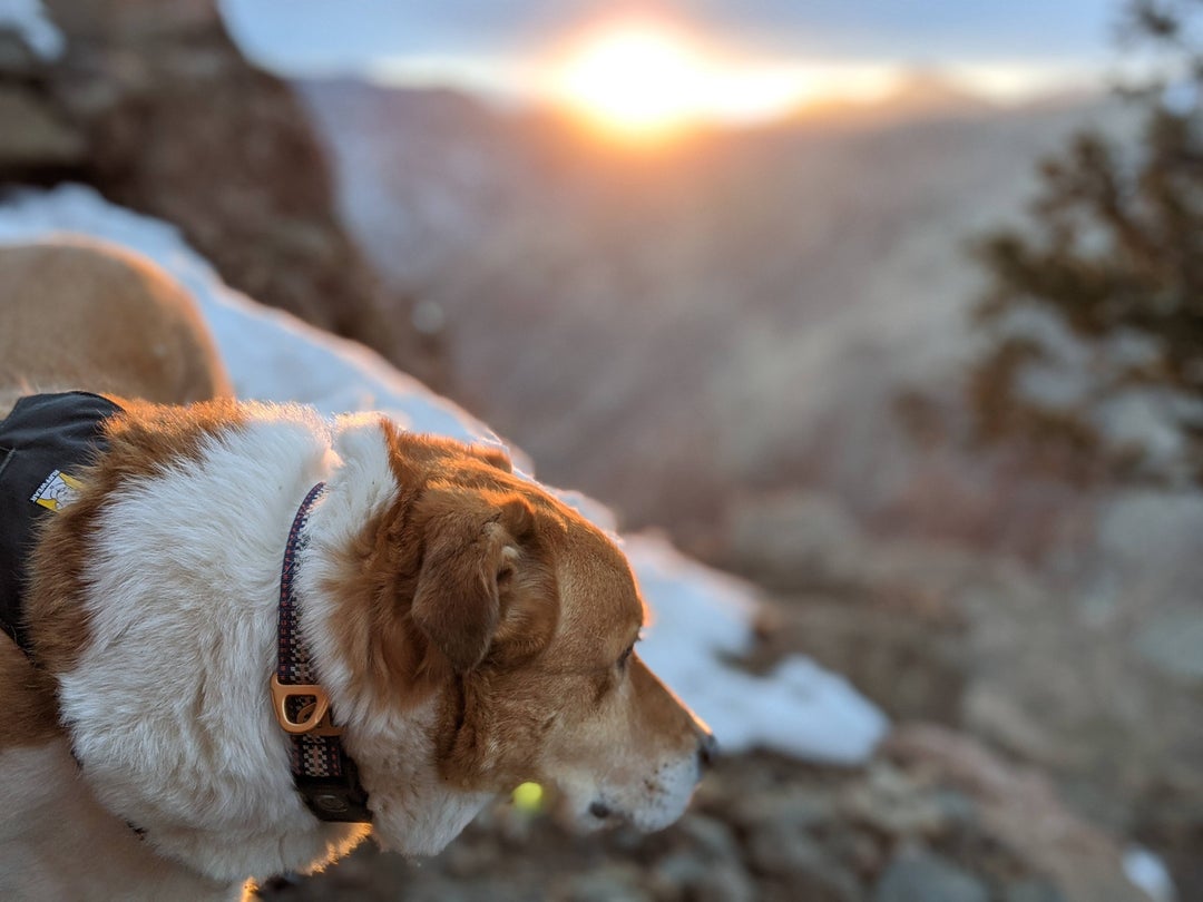 Hiking Mt. Zion, Colorado with the pup