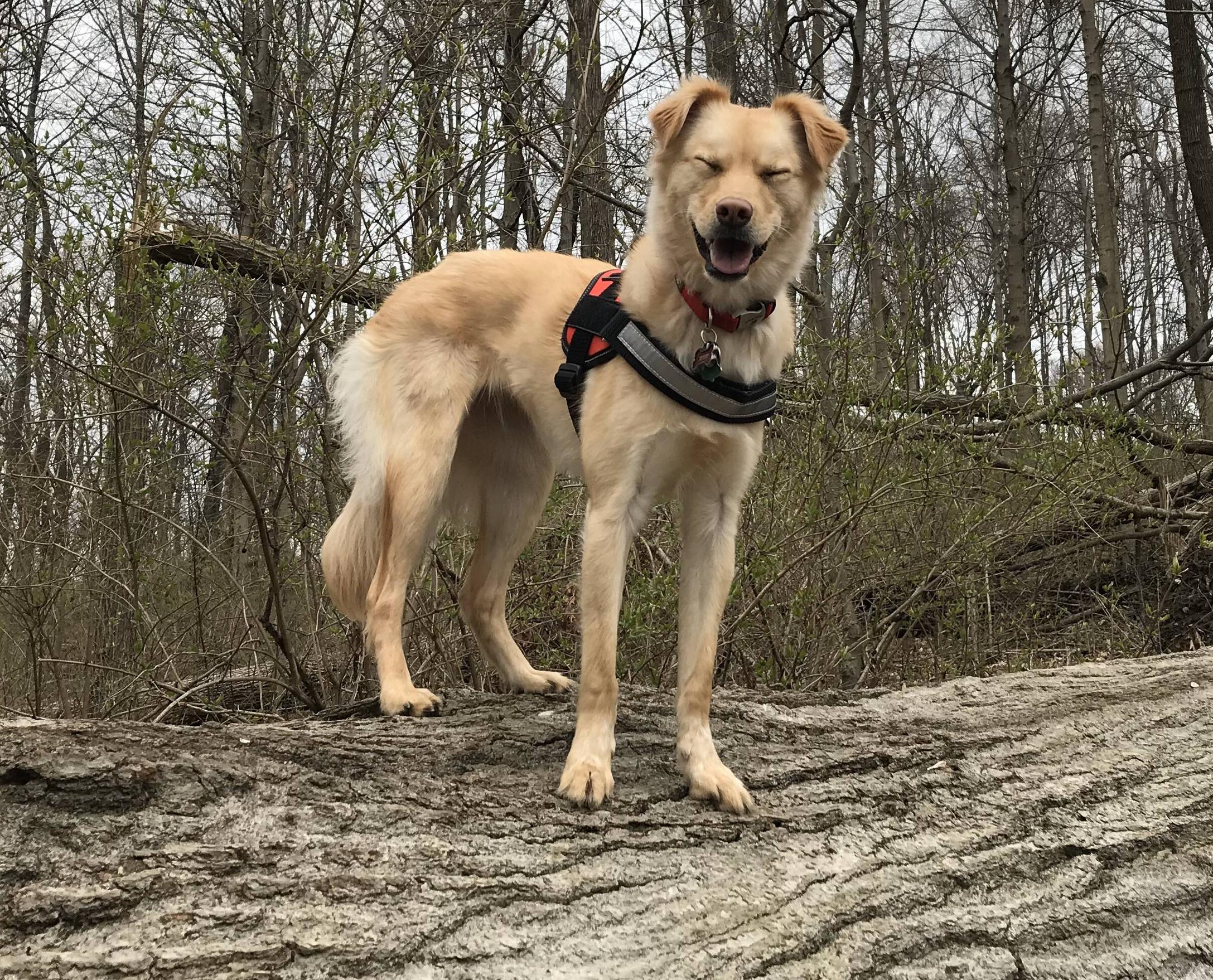 Captured a very happy hiking face