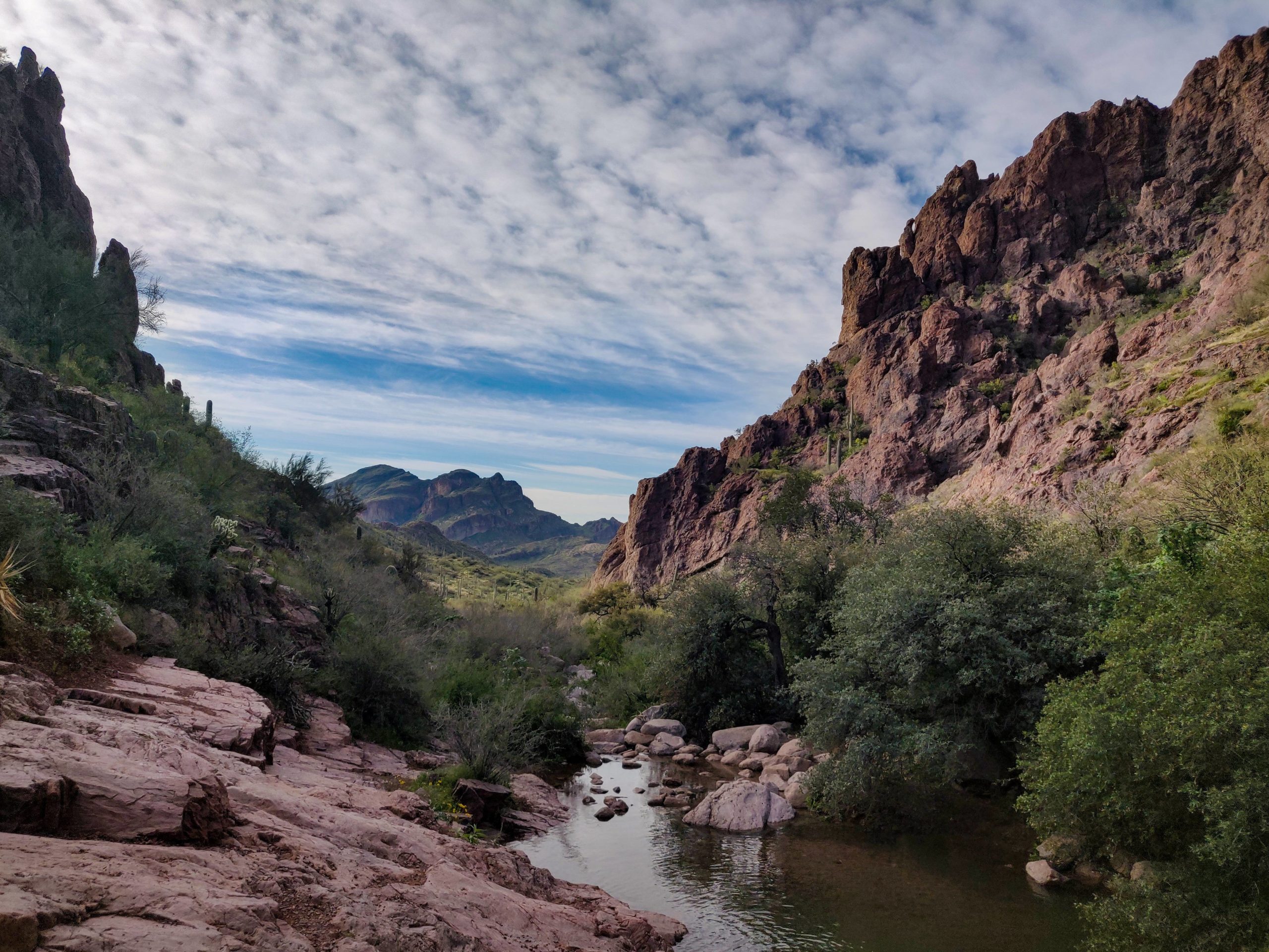 Sometimes I dont recognize Arizona, Peralta Trail, Gold Canyon, Arizona, USA