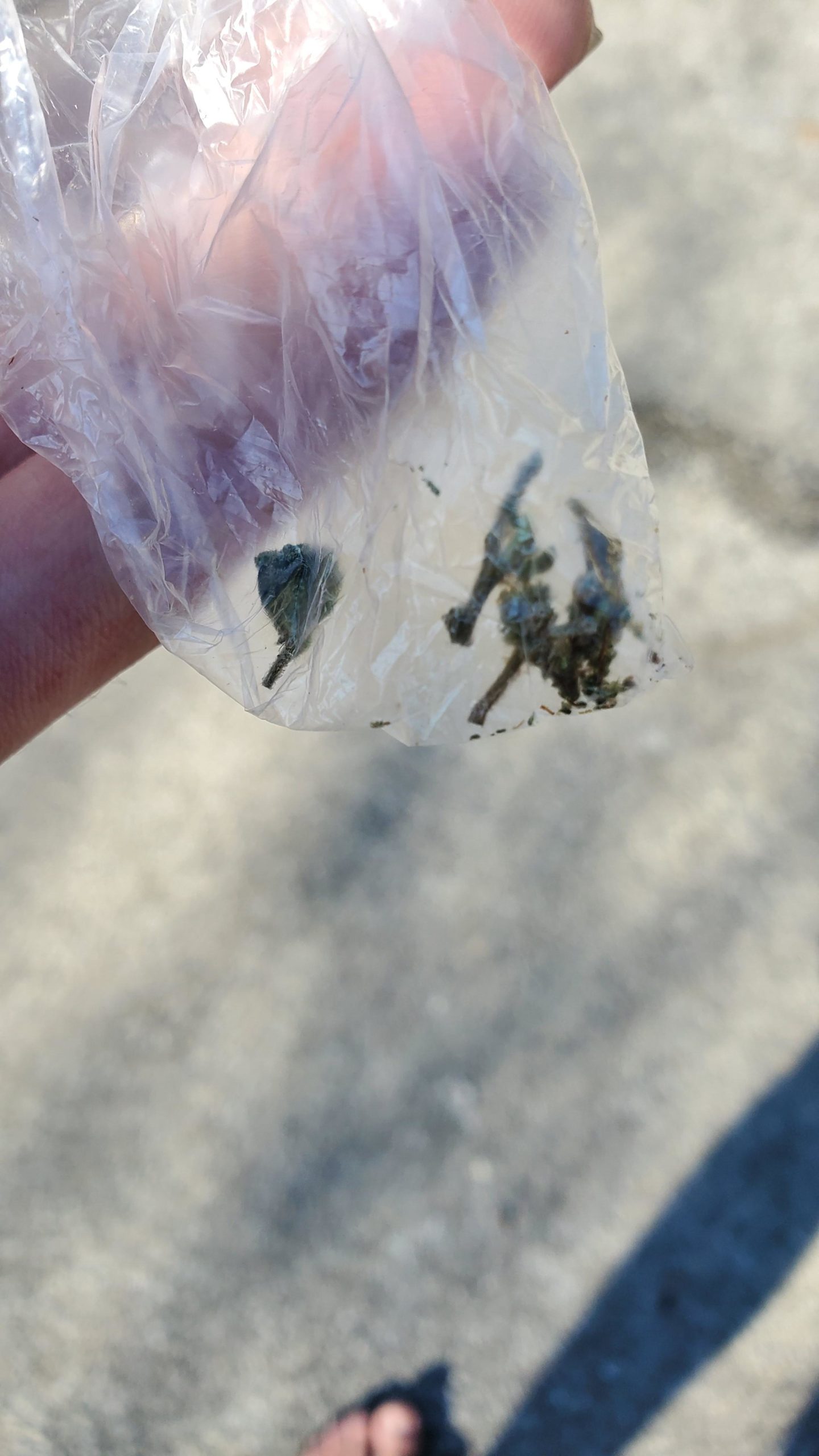 Went on a hike and found a bag of stems that someone left. Please dont smoke then litter.