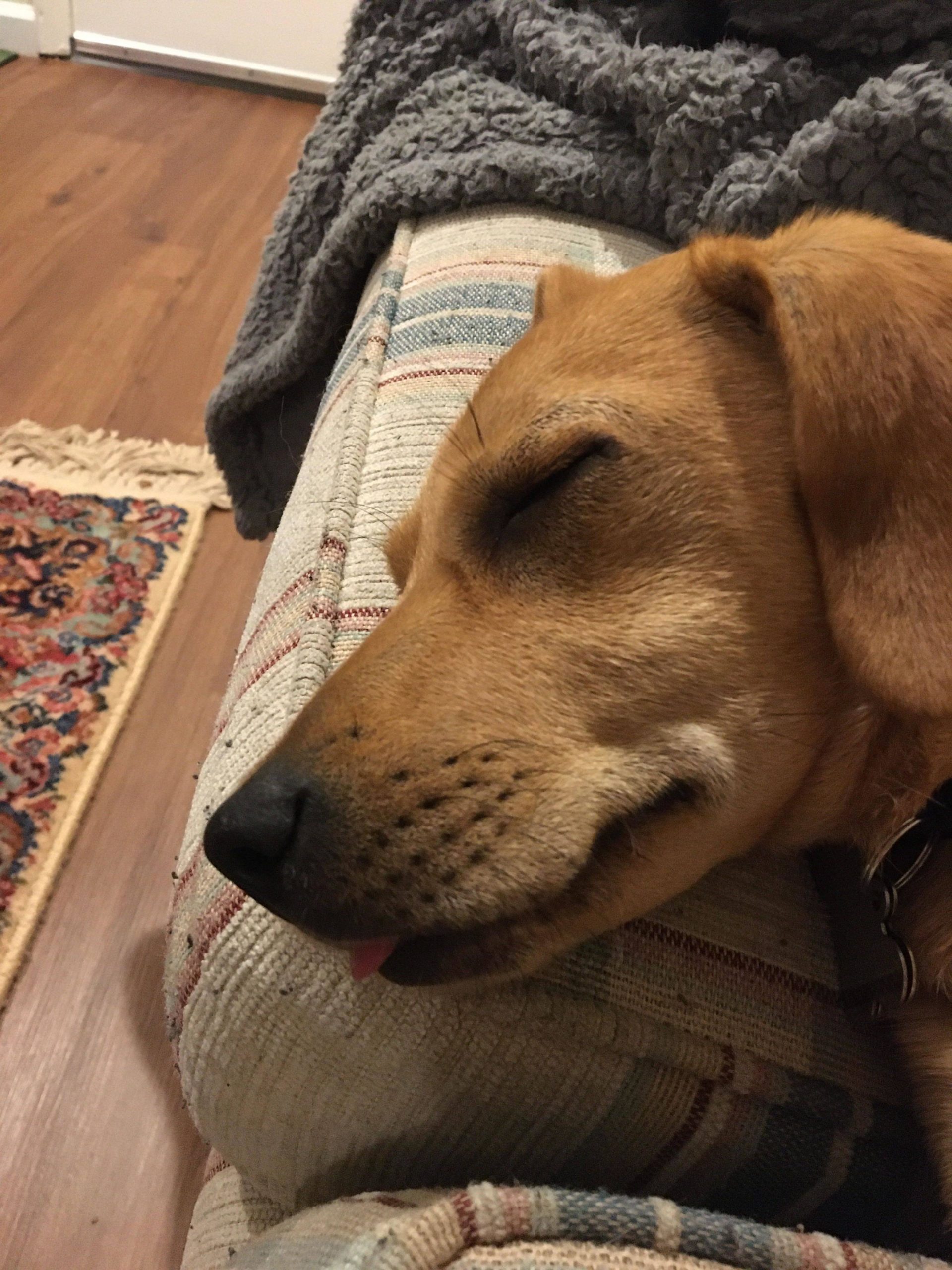 Sleeping after a hike