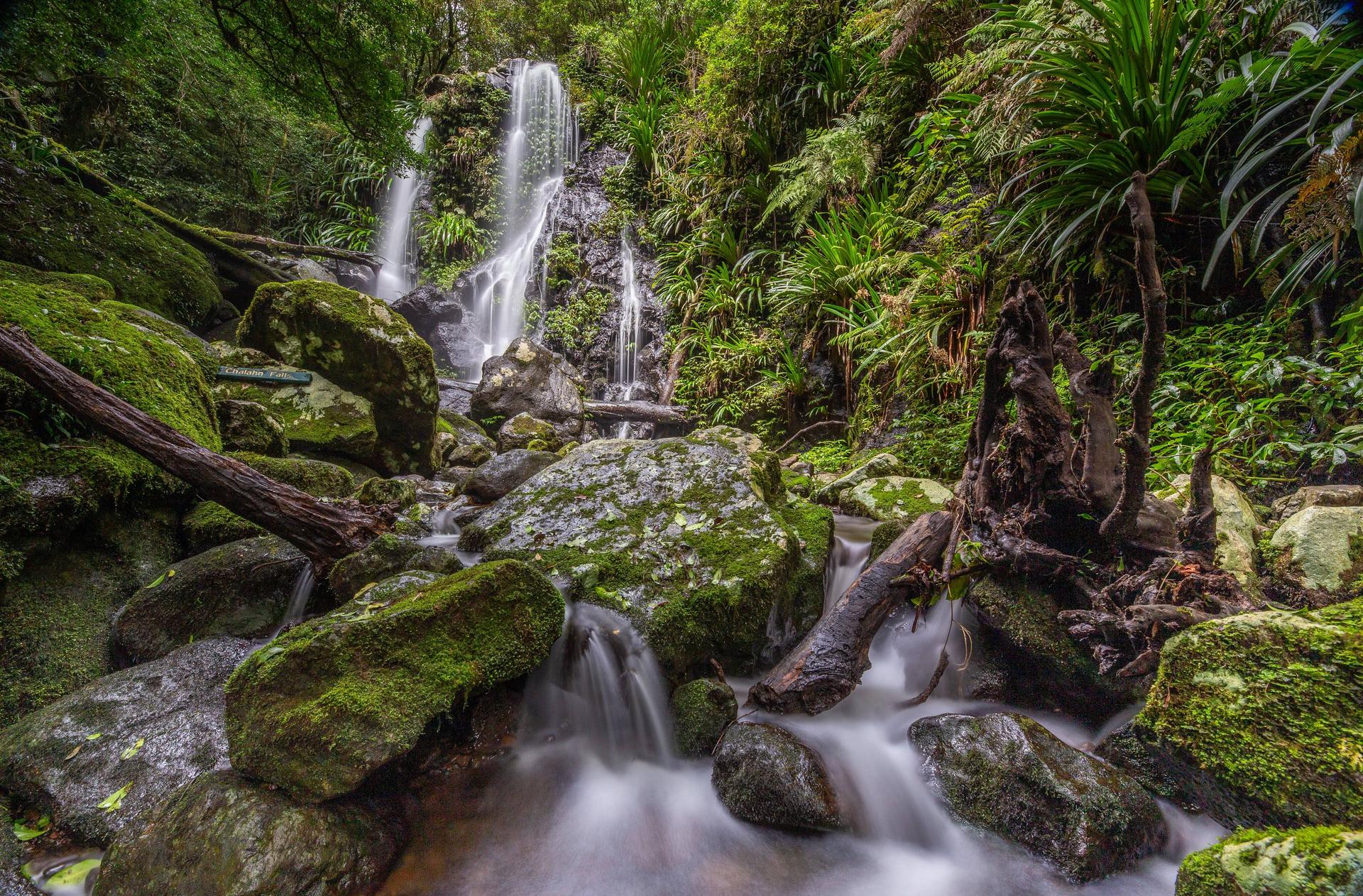 Chalahn Falls, Tooloona Creek, Green Mountains, Lamington National Park, Queensland, Australia