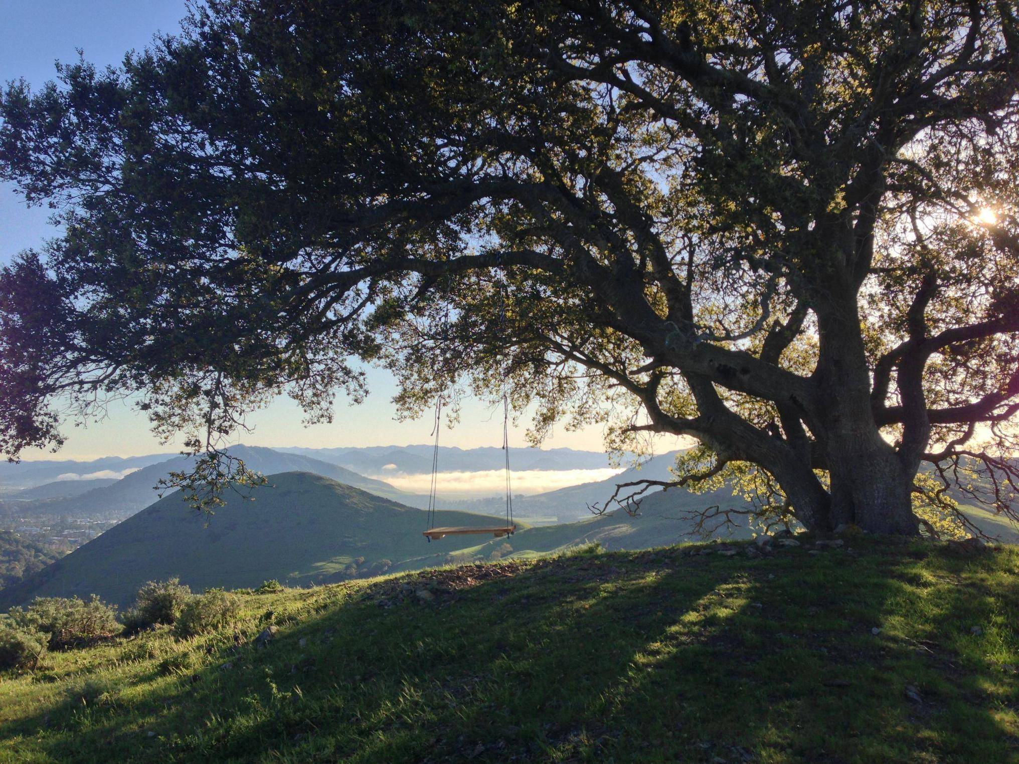 Serenity Swing – San Luis Obispo, California