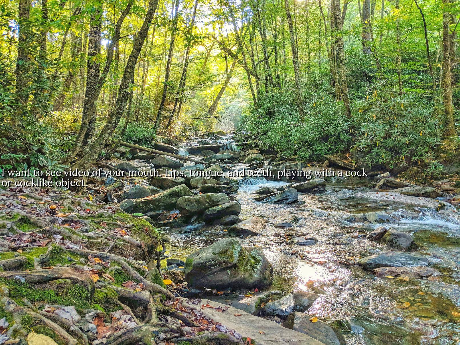 Beautiful hike in Smoky Mountains National Park