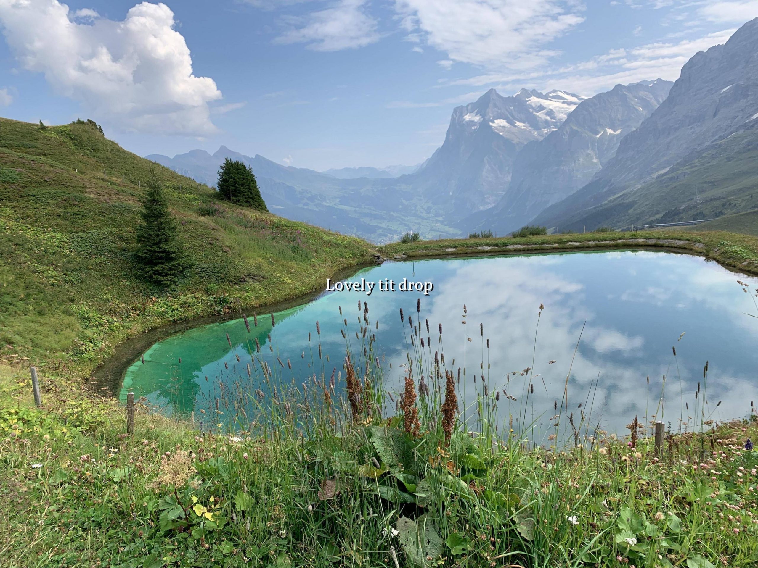 Hiking in Lauterbrunnen, Switzerland and stumbled upon the most gorgeous aquamarine glacier water. Mixed with the stunning views of the mountains, a picture does it no justice. 4032×3024