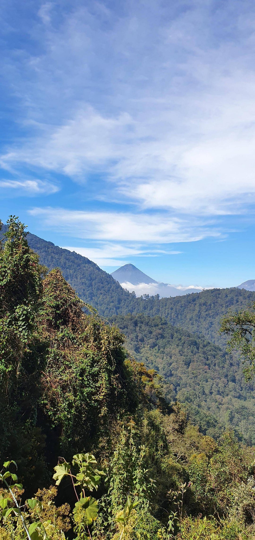 Jungle hike from Xela, Guatemala. Volcano Santa Maria standing tall over the clouds. OC 4032×1908