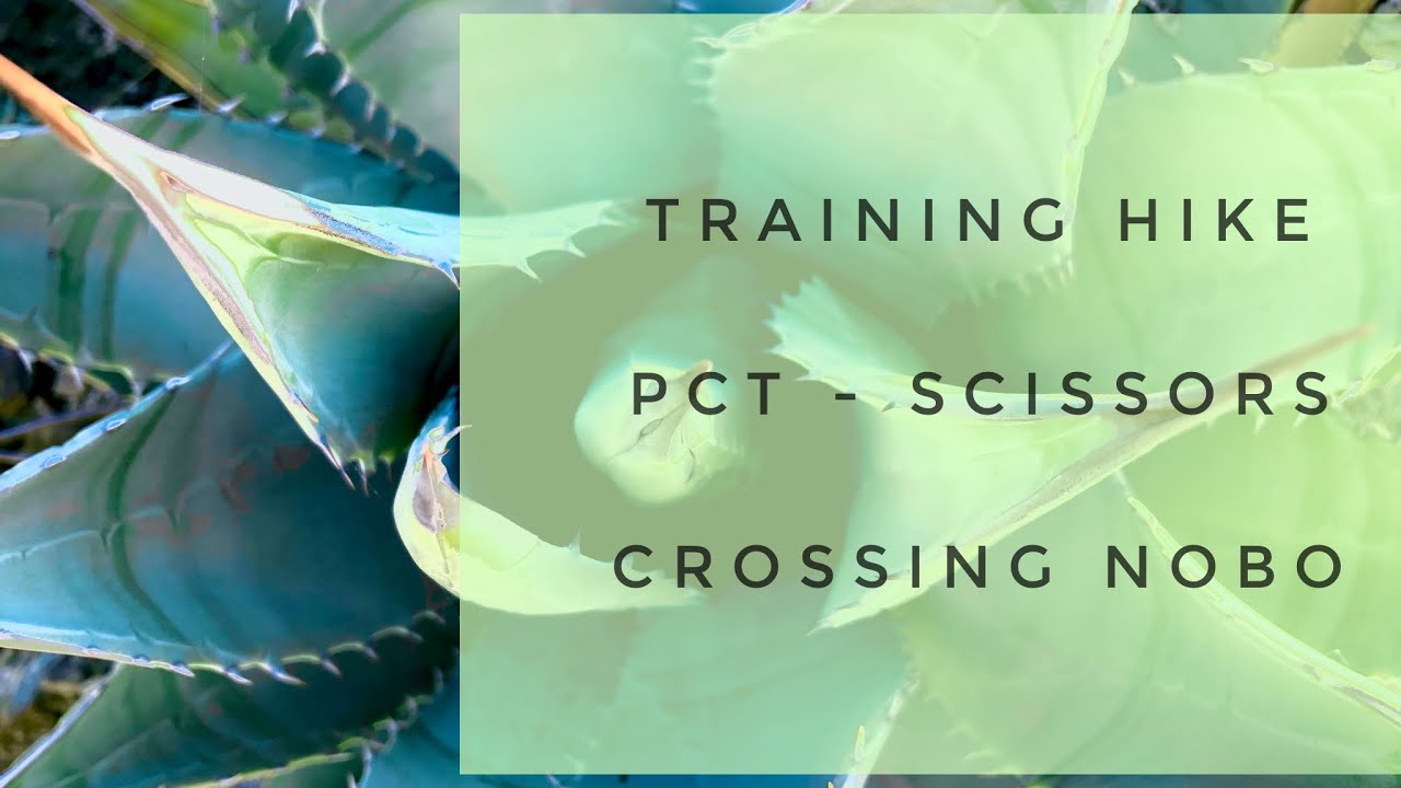 TRAINING HIKE PCT – SCISSORS CROSSING NOBO