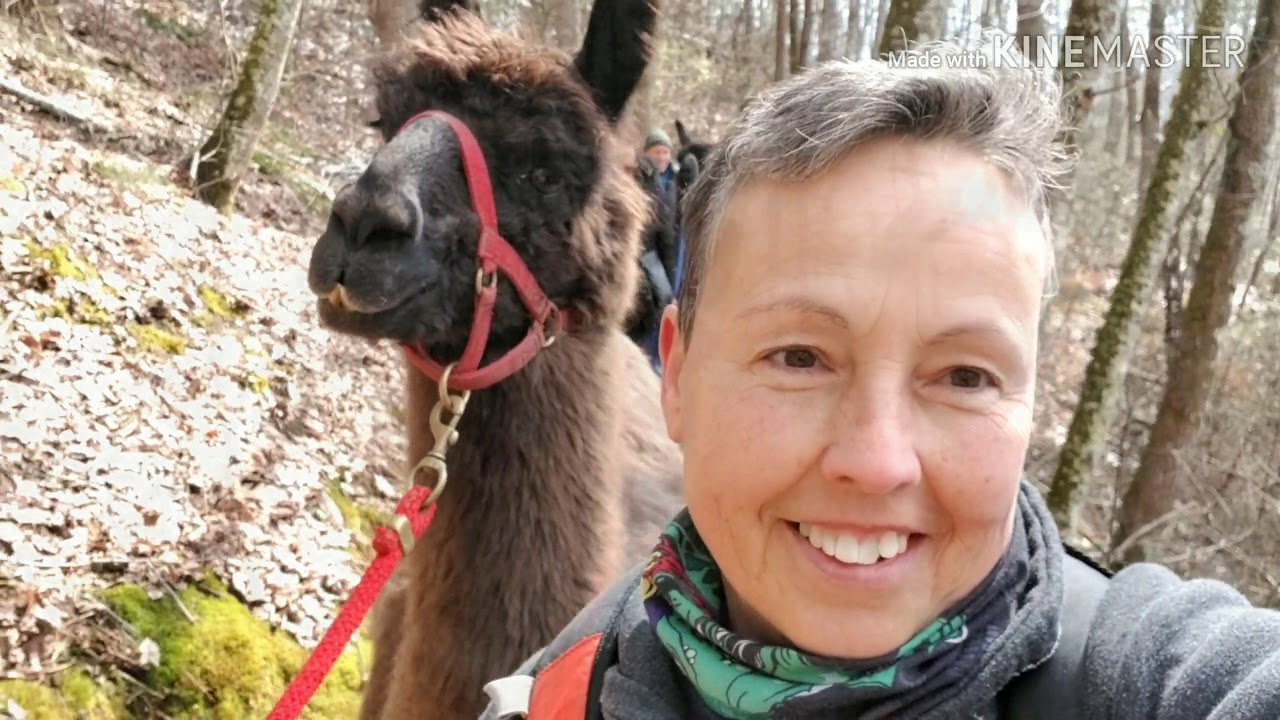 Hiking with a llama