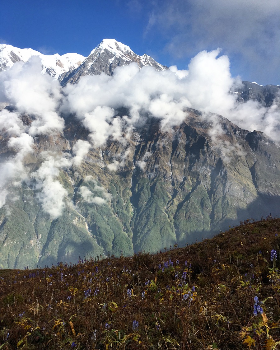 Stuck in quarantine so naturally dreaming of this hike Upper Viewpoint, Mardi Himal Trek, Nepal