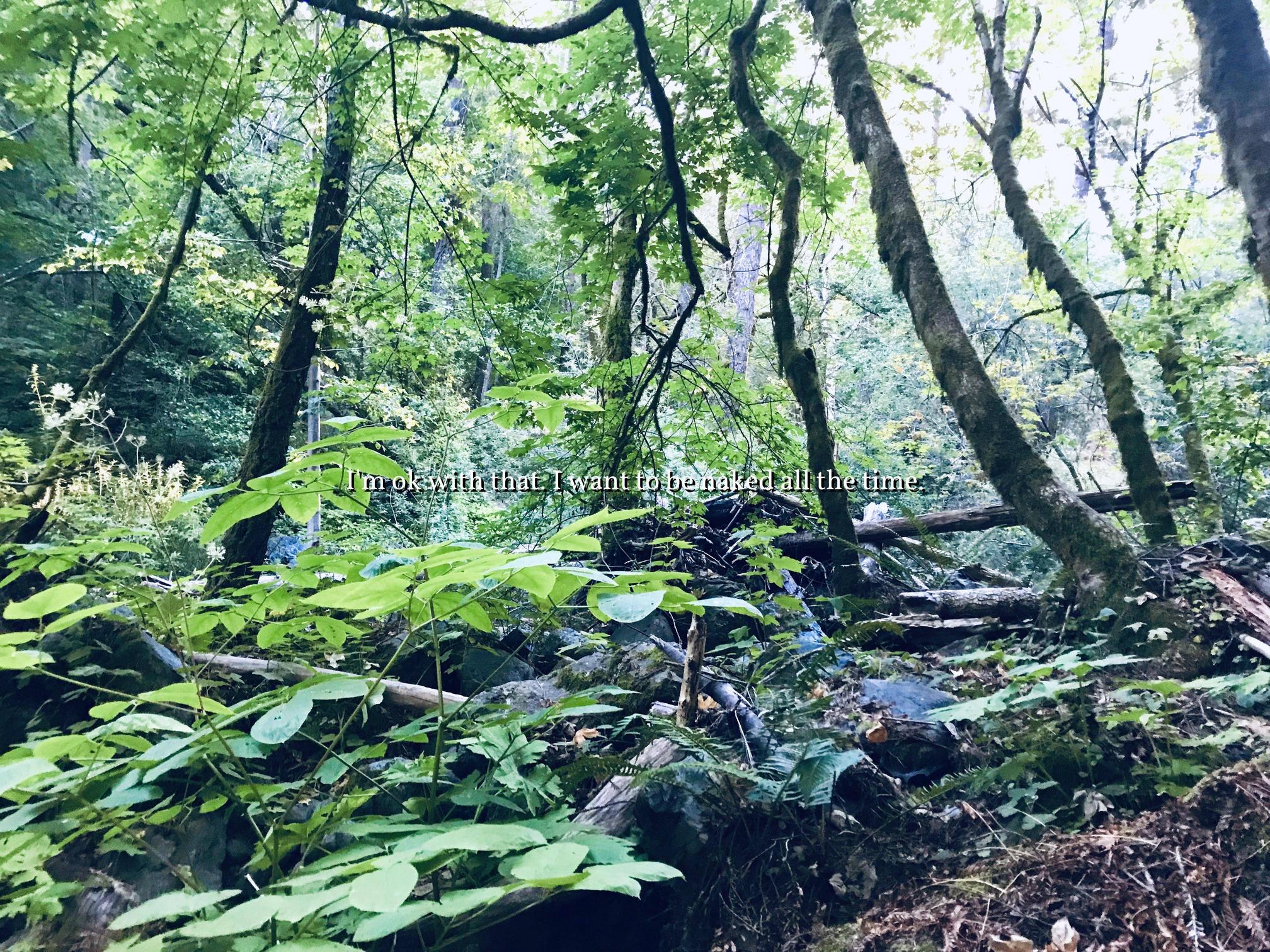 Drove and hiked for 2 hours to get to Willow Creek campsite in Big Sur California.