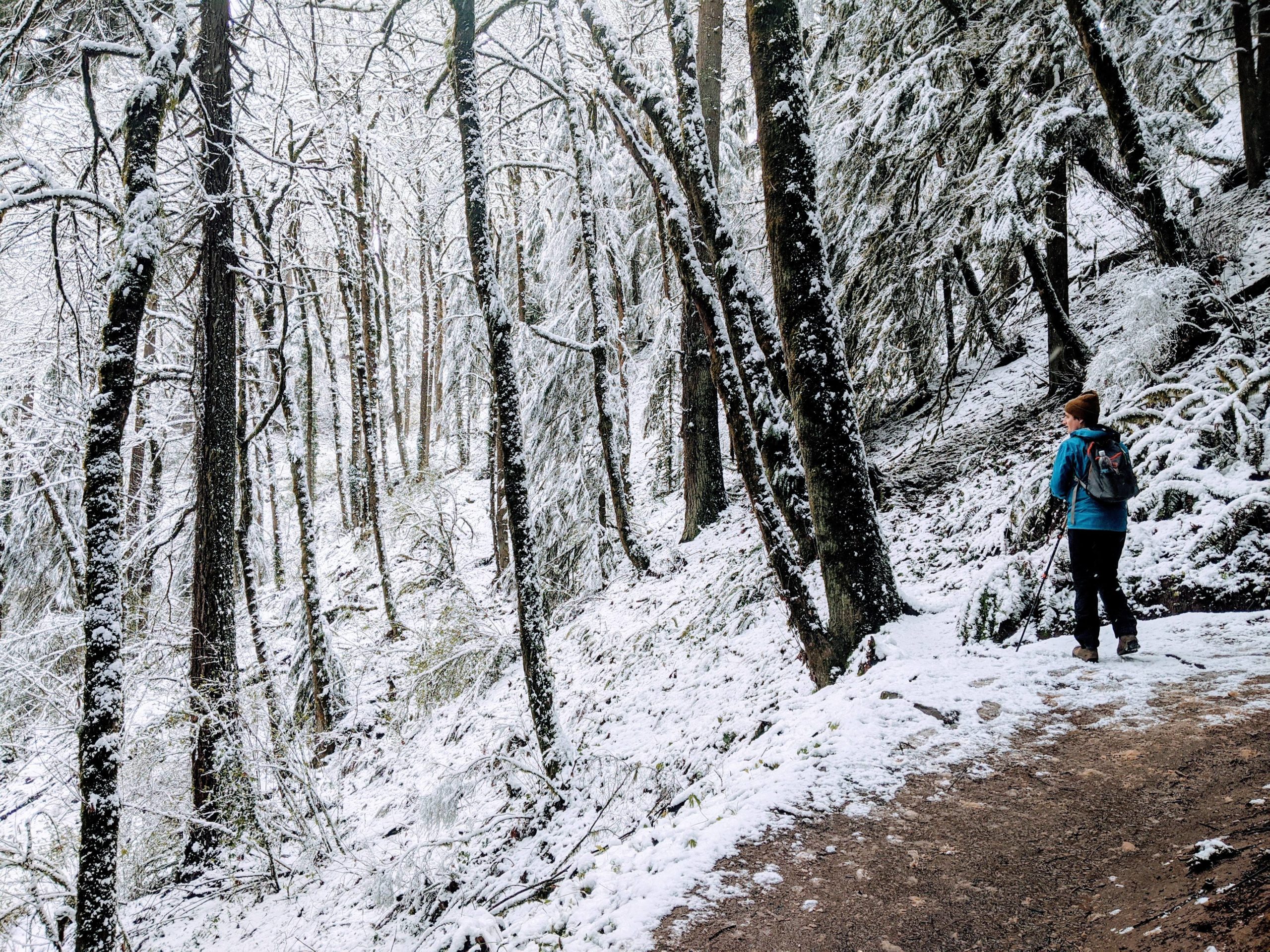 Wanted to share the hike that my boyfriend and I took this weekend in forest park