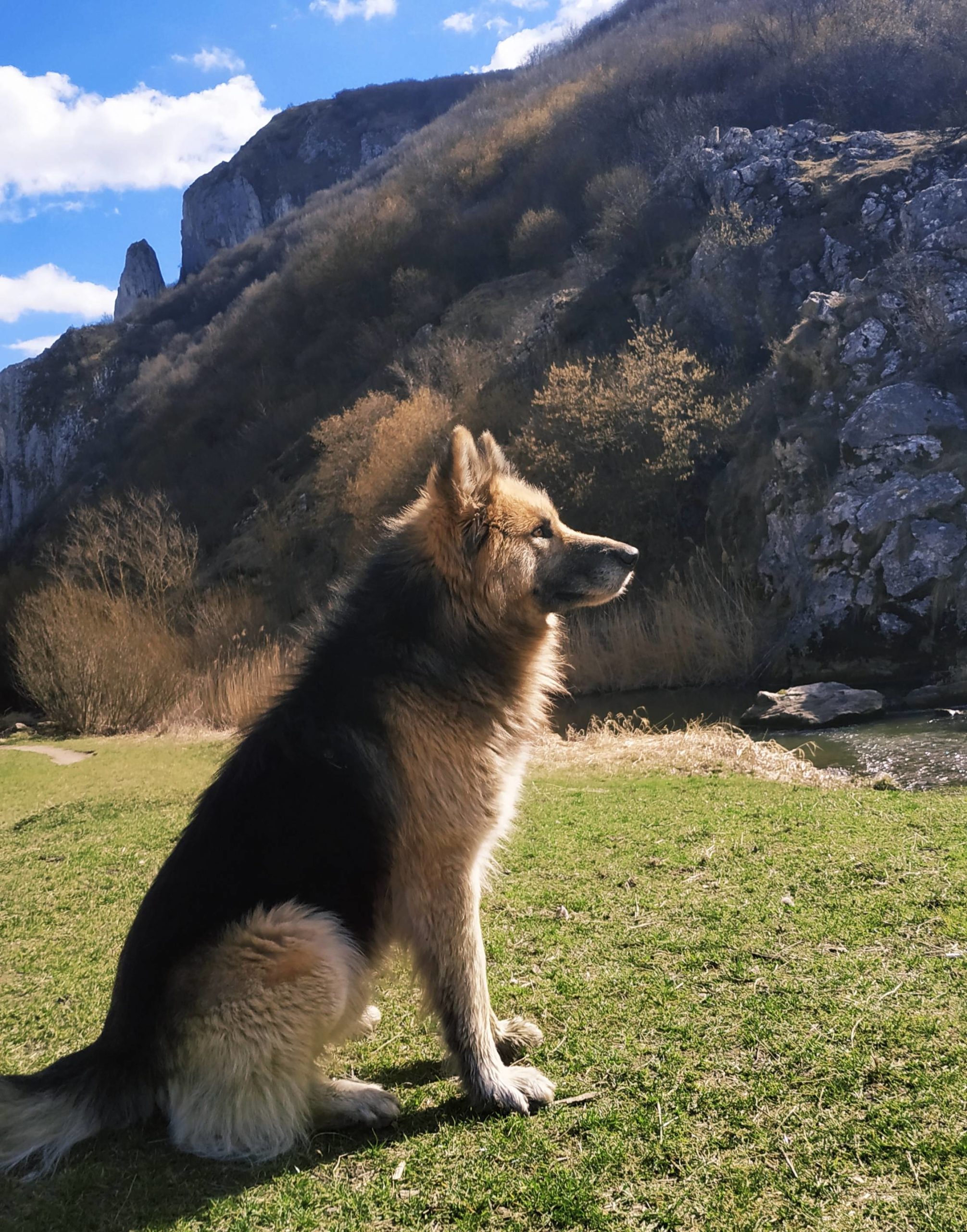 Went on a hike and this fella decided to join me