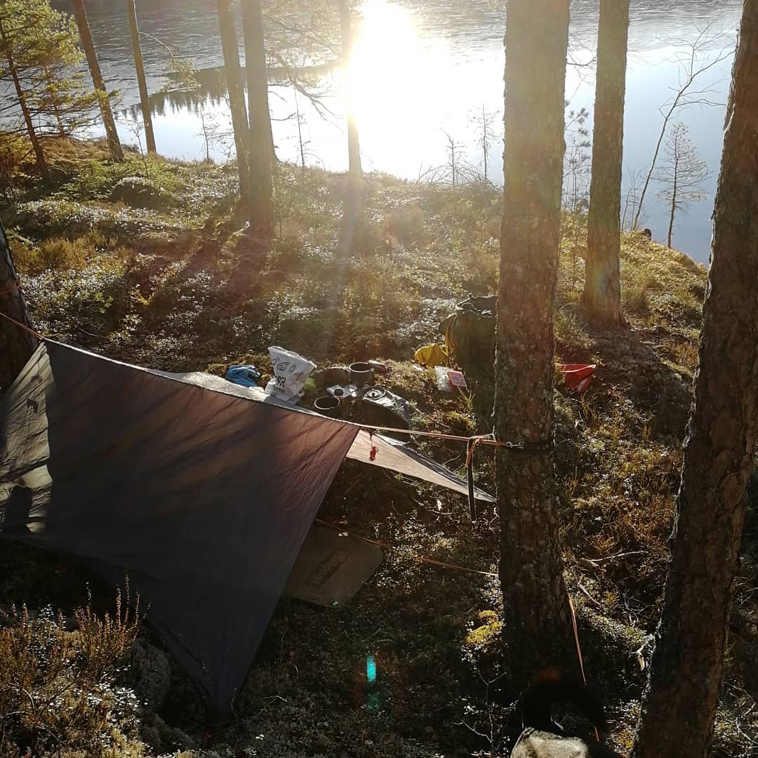 Fortsatt litt kaldt om natta, men vrstemning nr morgensola varmer campen. stfoldnatur corona…