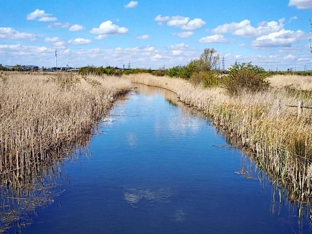 mashland river…nature RSPB wildlife plants green water river marshes walking exercis…