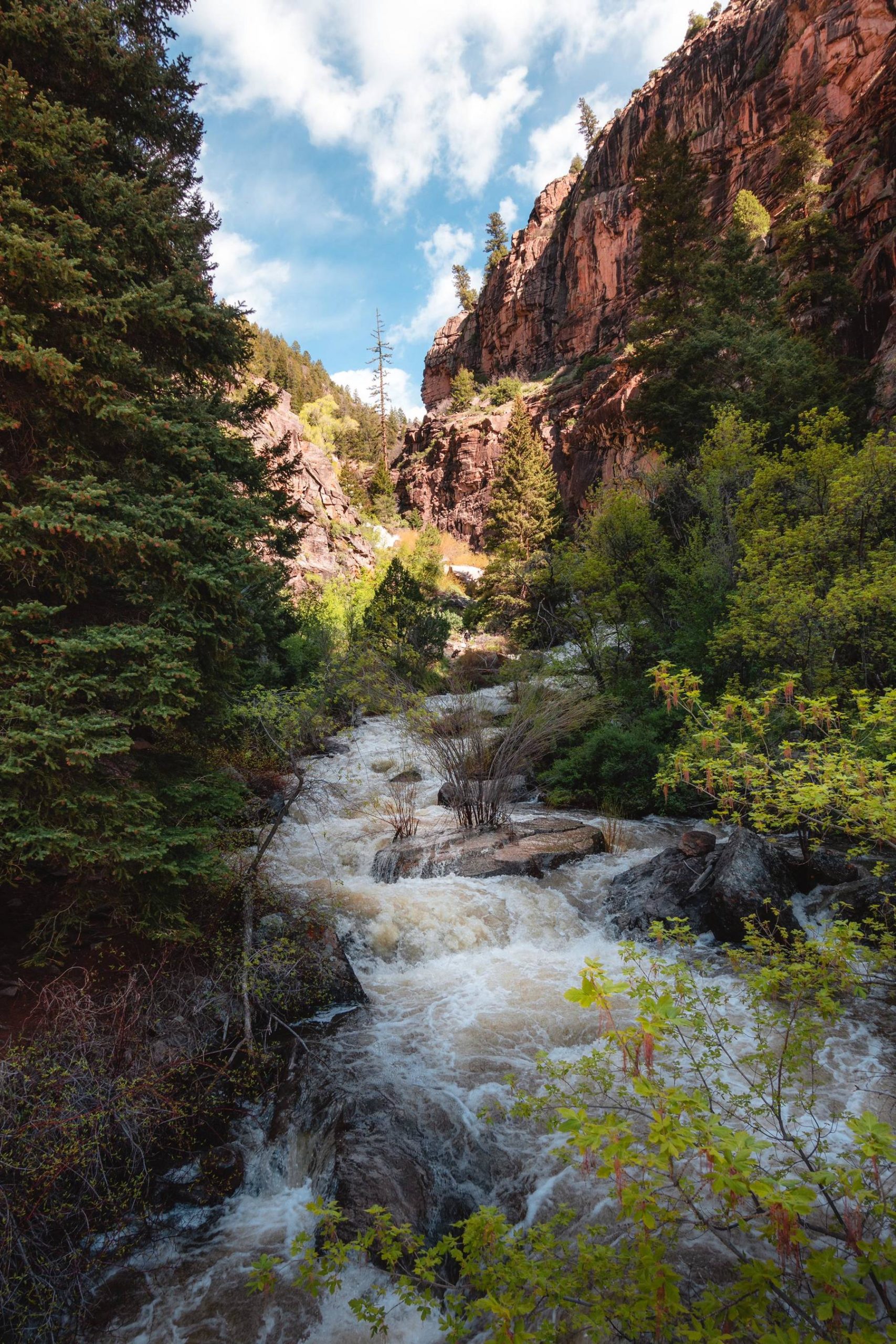 Curecanti Creek Trail, Gunnison, Colorado, USA