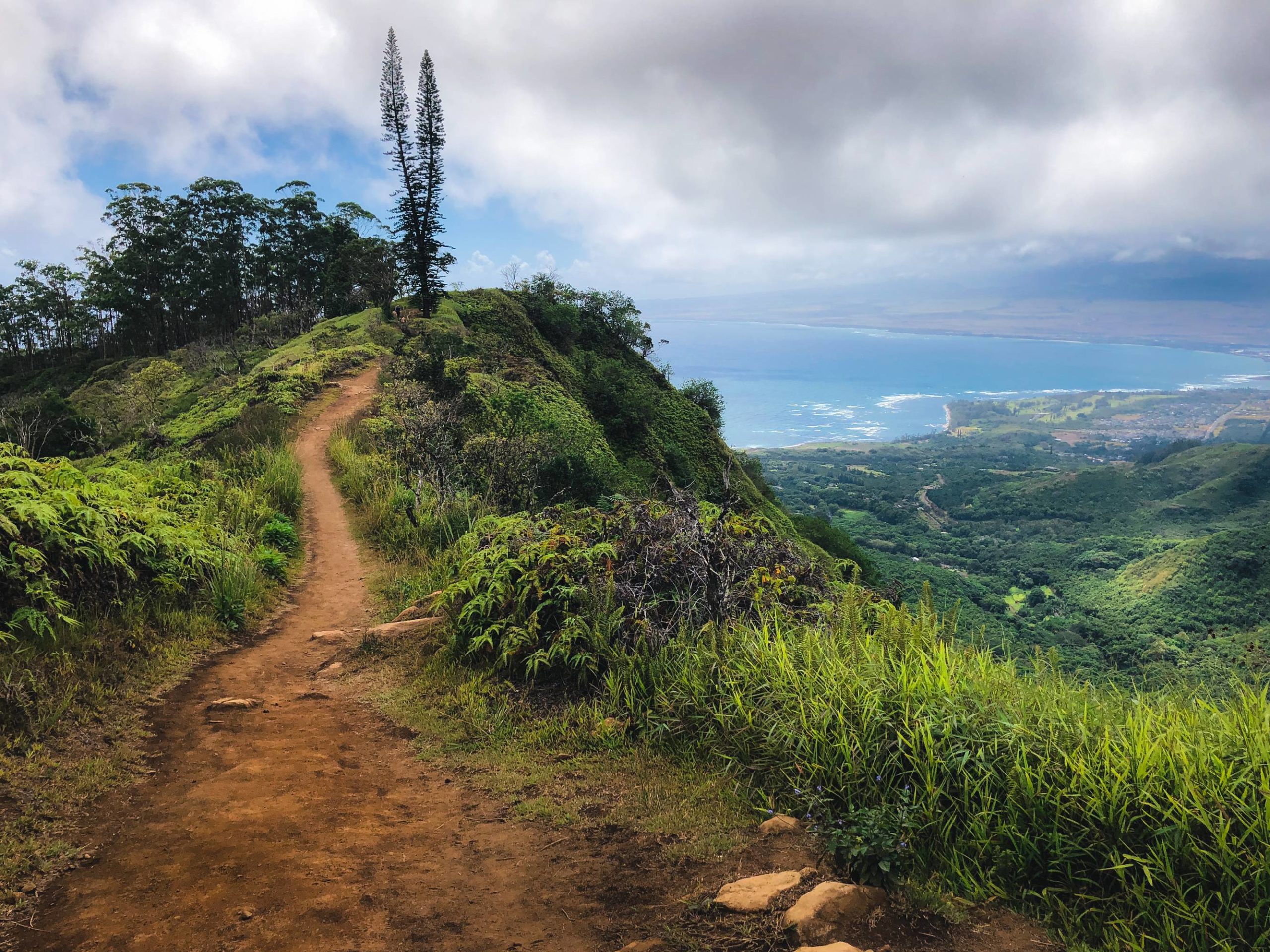 ITAP of a hiking trail in Maui,Hawaii