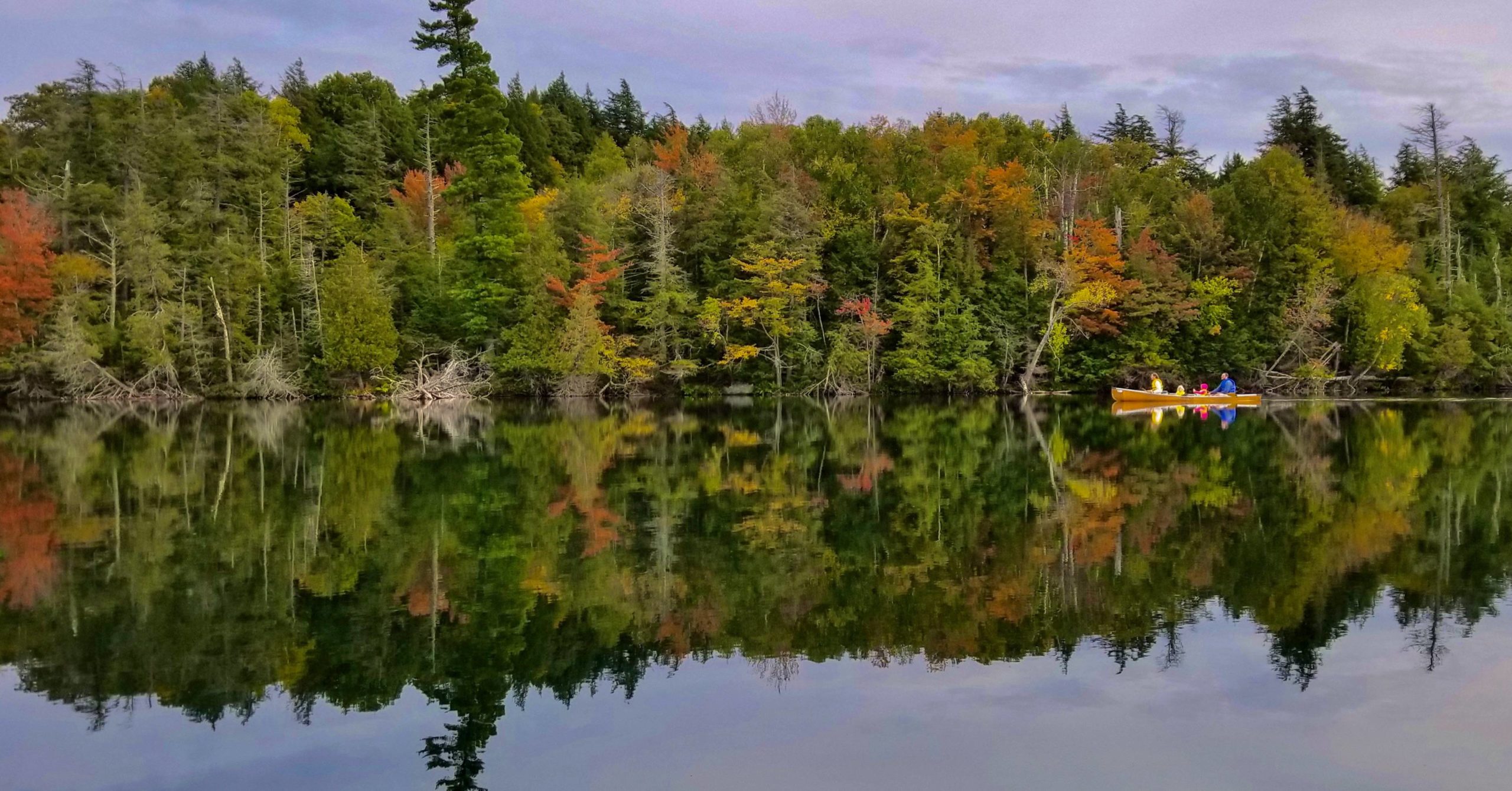 Reminiscing of family canoeing and hiking days in the Adirondacks. Follensby Clear Pond, Saranac Lake, NY