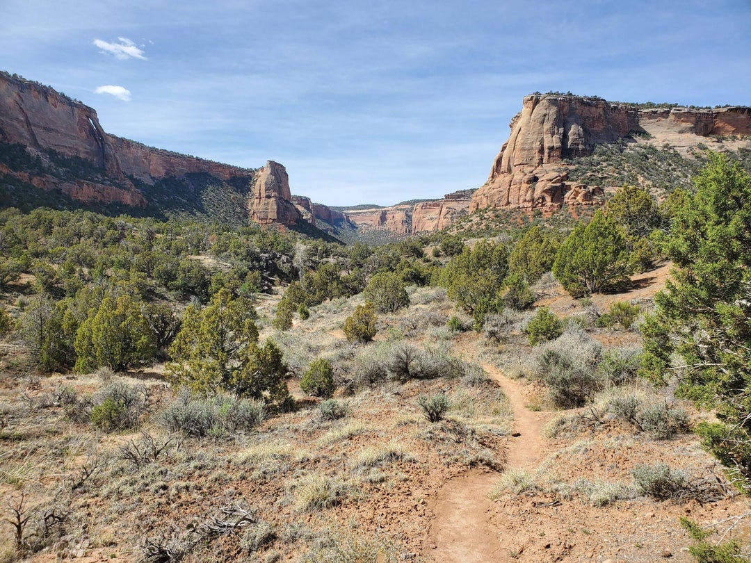 Nice to have this in my backyard. Ute Canyon, Colorado National Monument, Grand Junction, Colorado, USA.