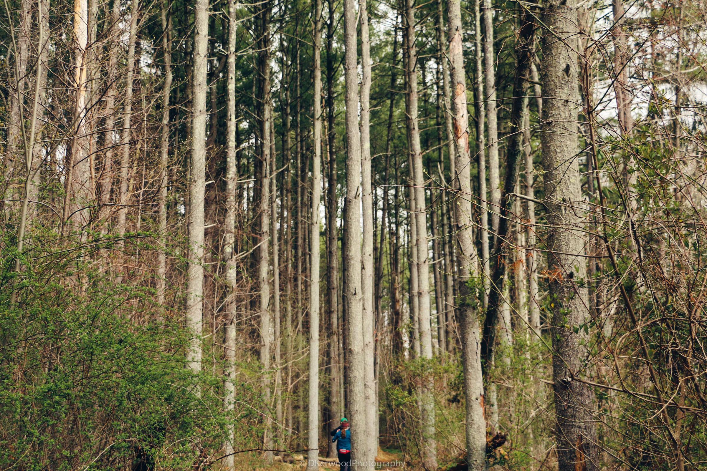 Early morning hike, Skippack Circle Loop, Evansburg State Park, Pennsylvania, USA.