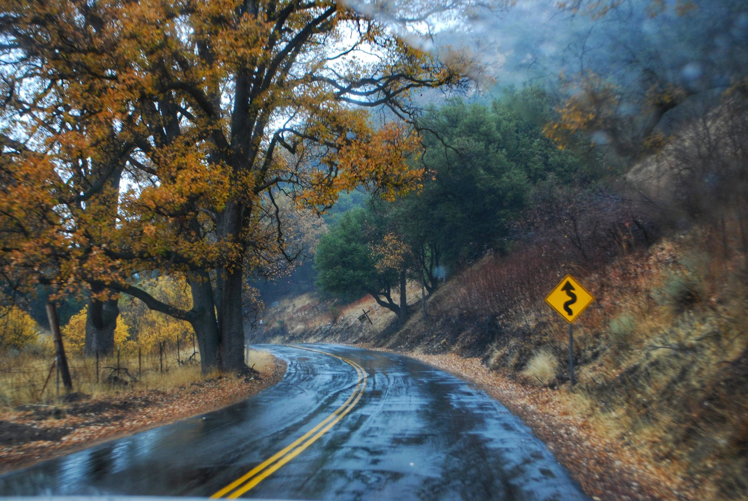 Rainy day at Mt Park