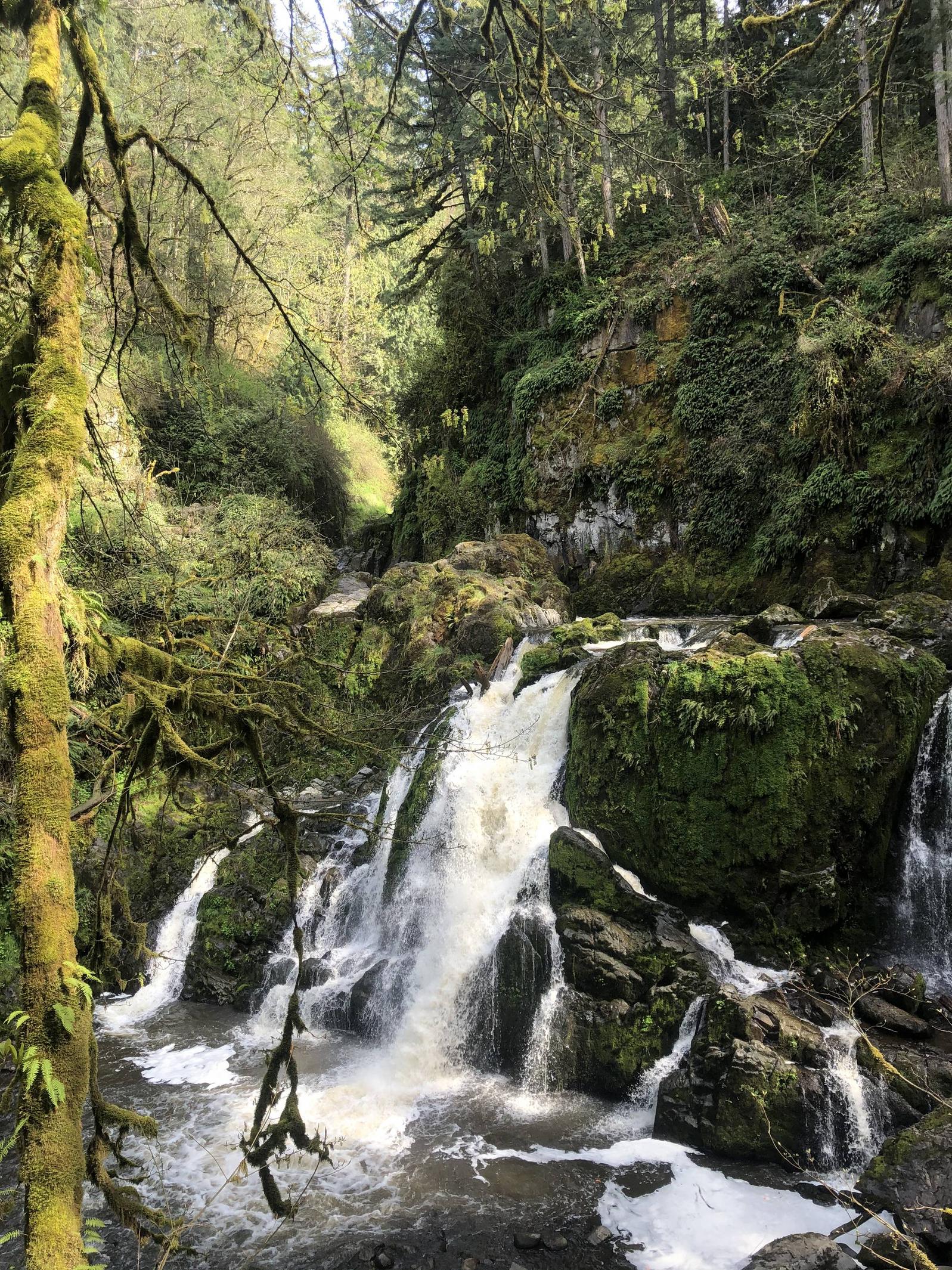 Little Marshal Falls, Eatonville Washington.