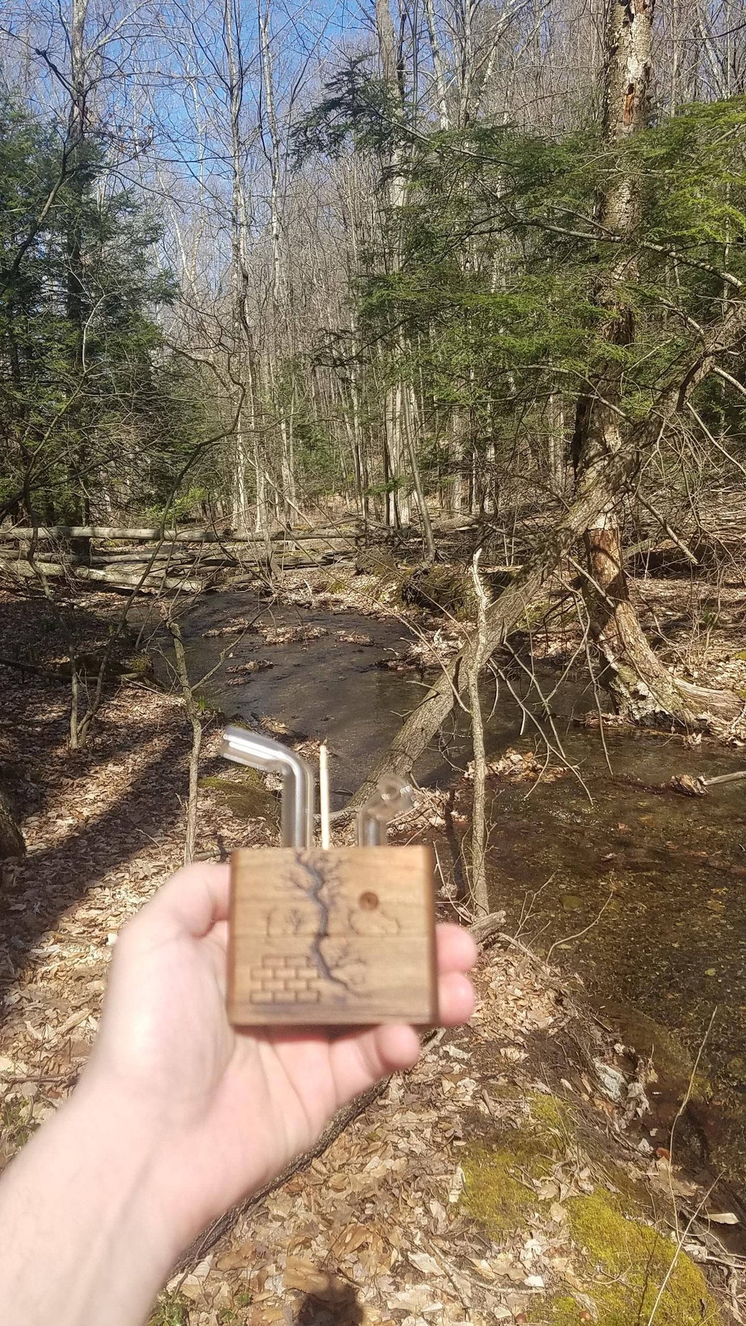 Hiking in western MA