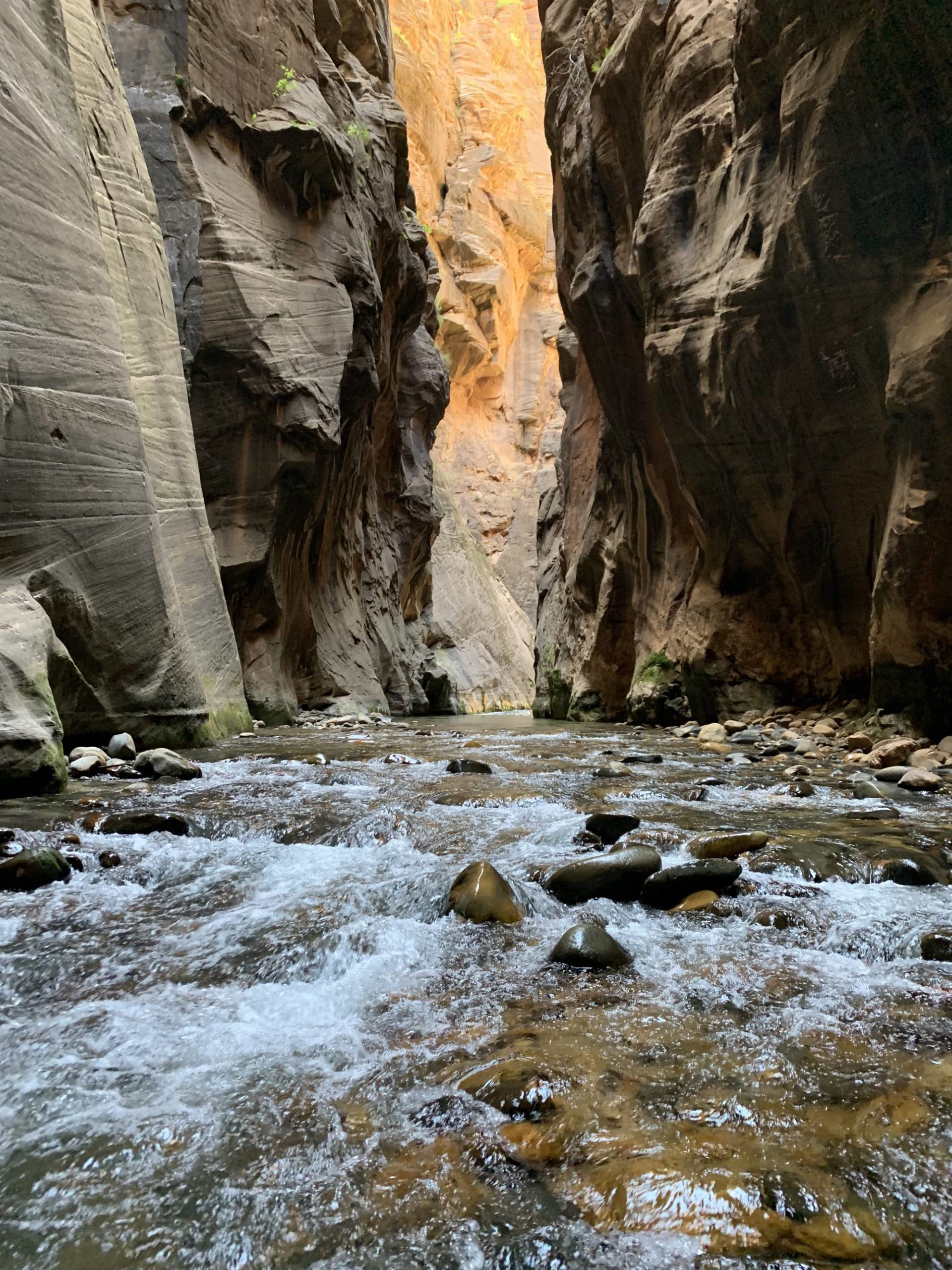 The Narrows, Zion National Park, USA