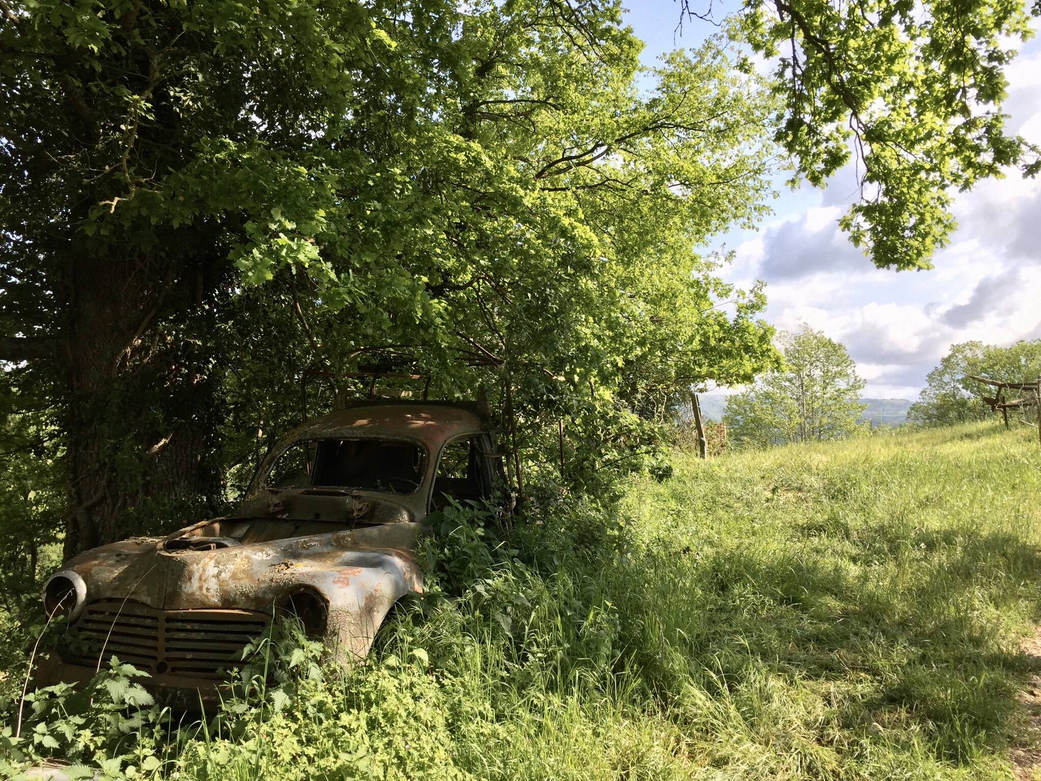 Found this on a hike in the countryside a few years ago, France.