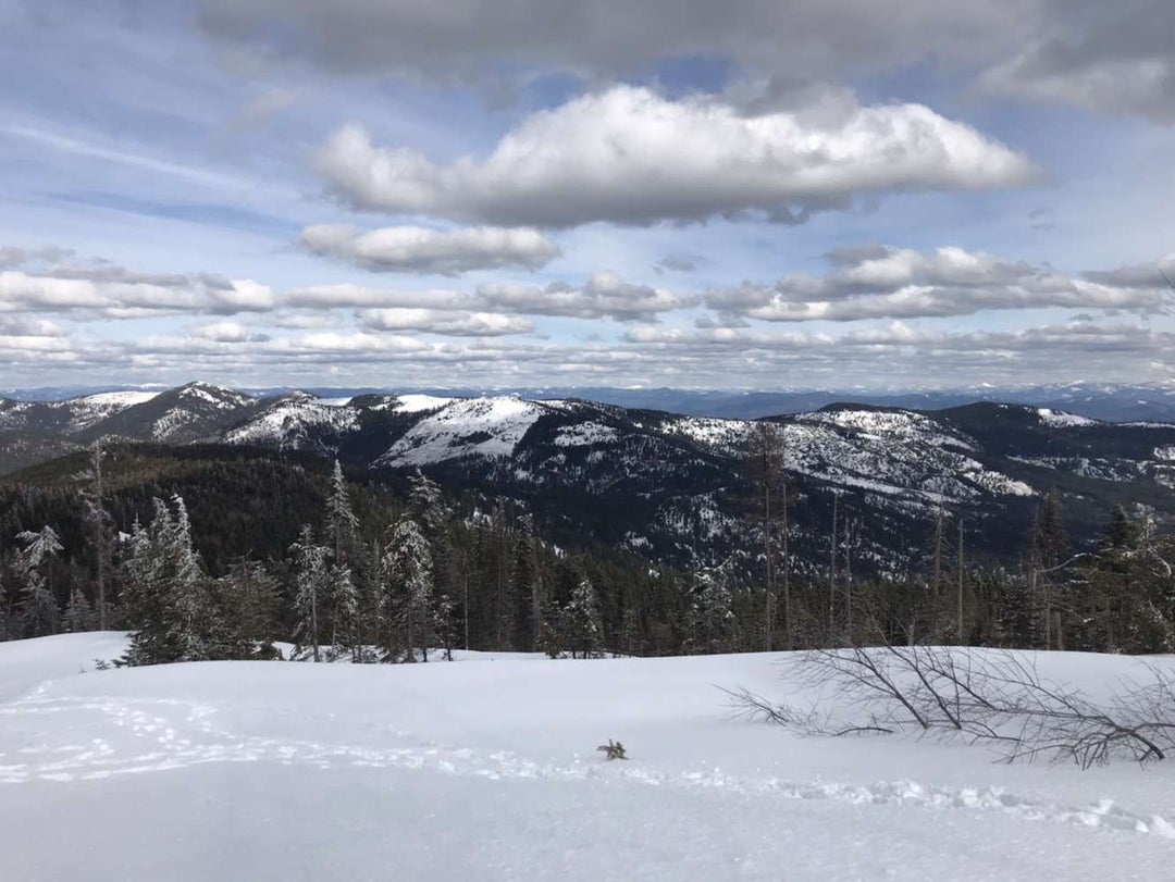 8 Hours to get this view. Mica Peak Conservatory, Spokane, WA, USA