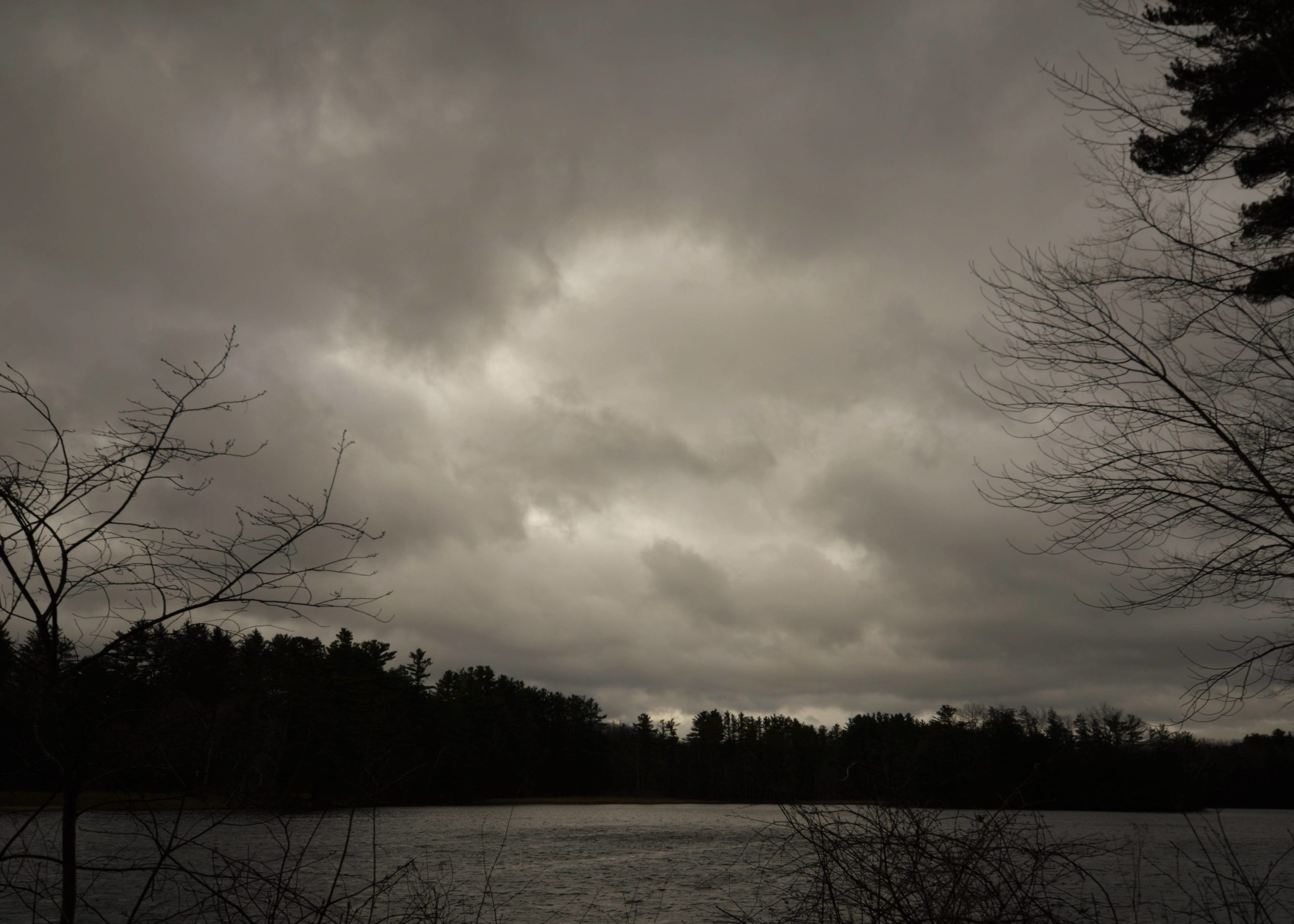 Lake Shaftsbury State Park, VT USA. April 2020