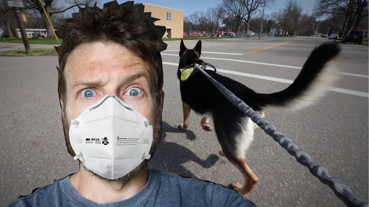 Urban Hiking With a K9 Spring Cleaning Lockdown Vlog 1